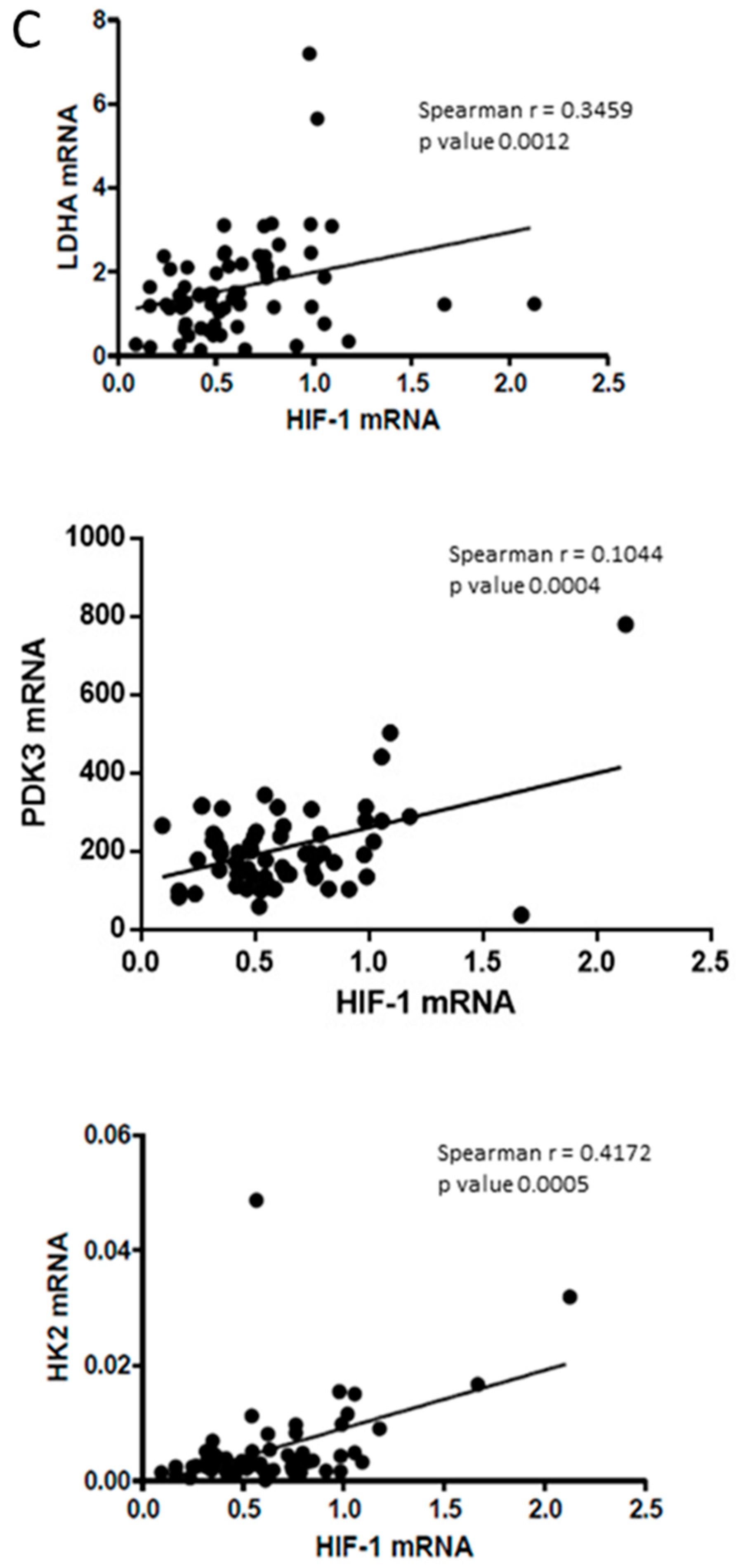 Cancers 11 01933 g006b Cancers 11 01933 g006b