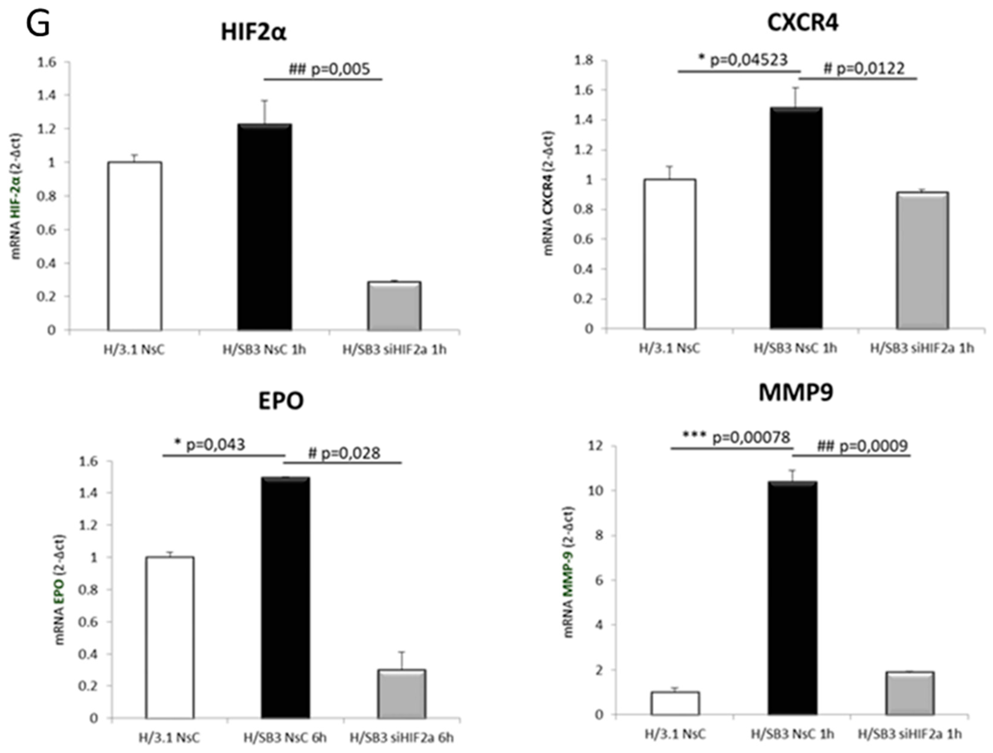 Cancers 11 01933 g007b Cancers 11 01933 g007b