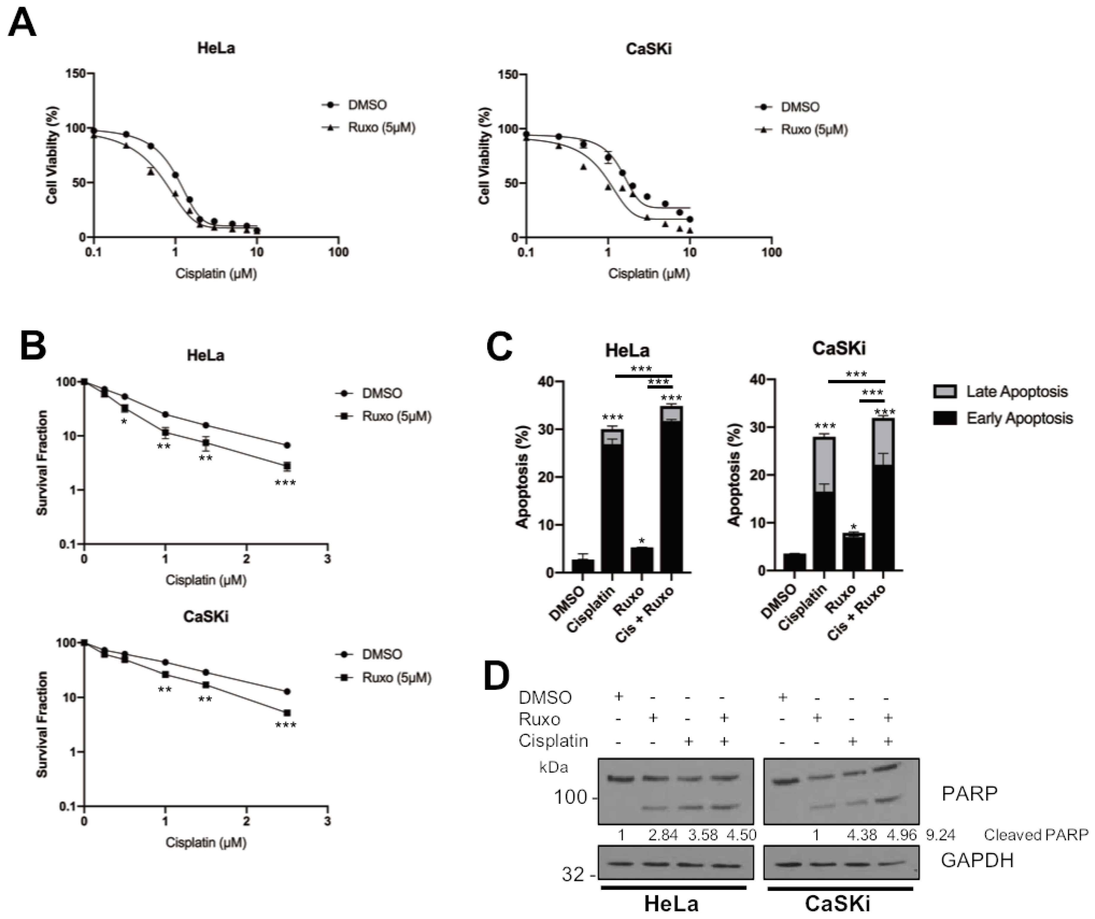 Cancers 11 01934 g008 Cancers 11 01934 g008
