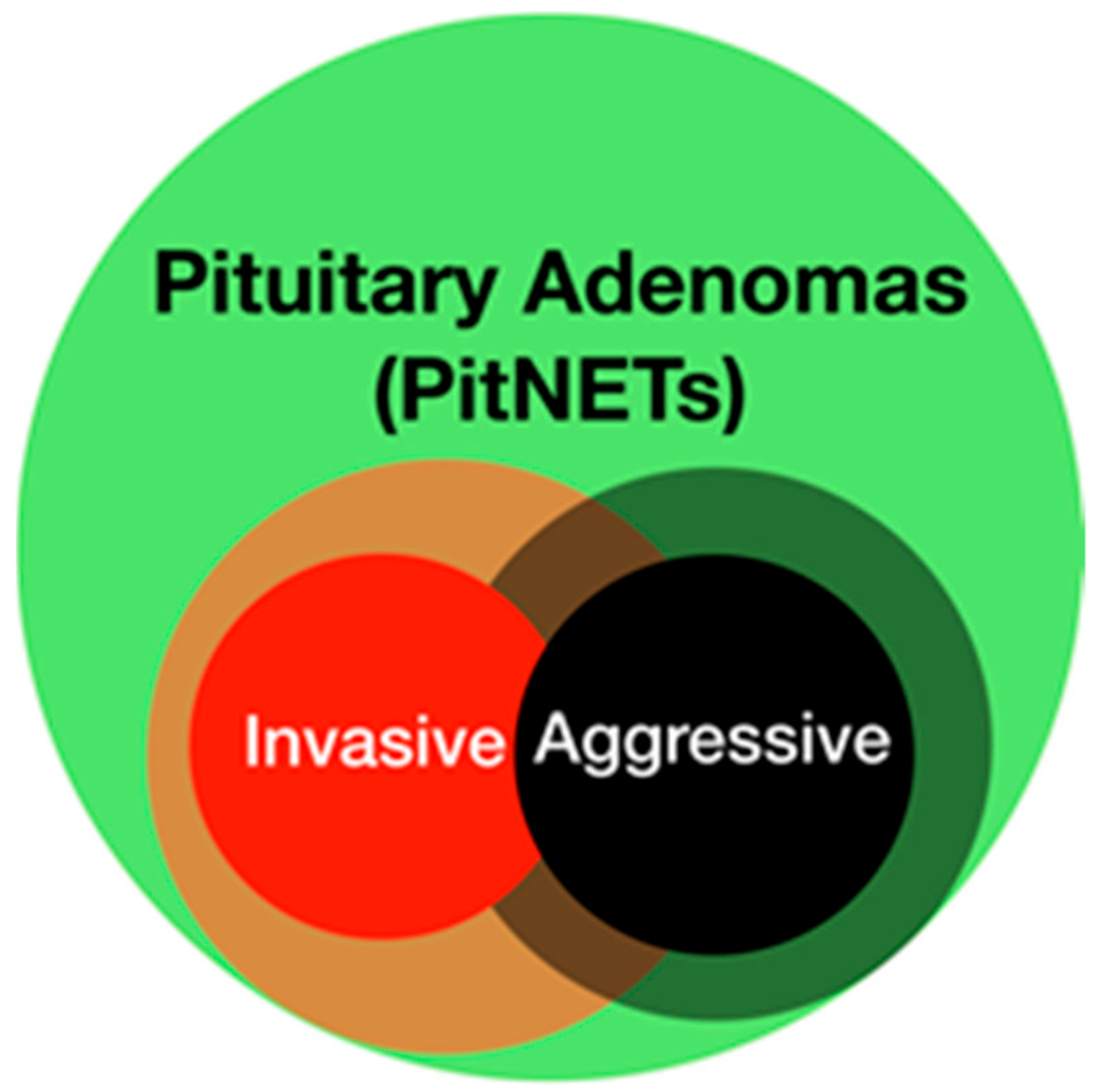 Cancers 11 01936 g001 Cancers 11 01936 g001