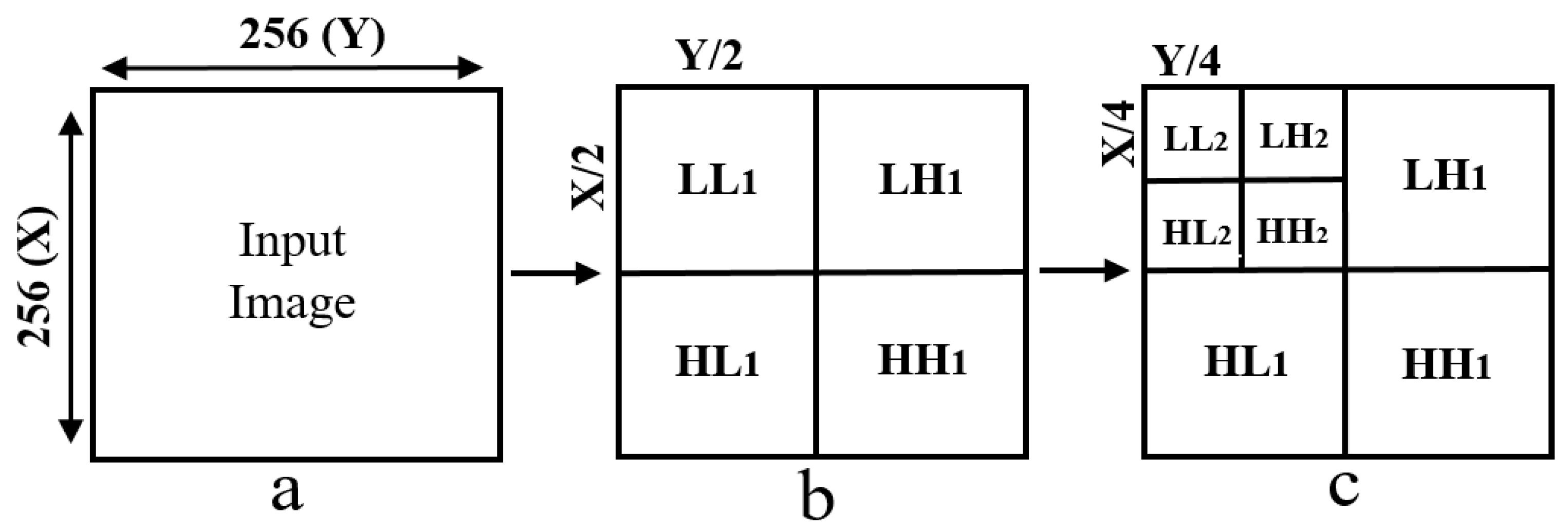 Cancers 11 01937 g004