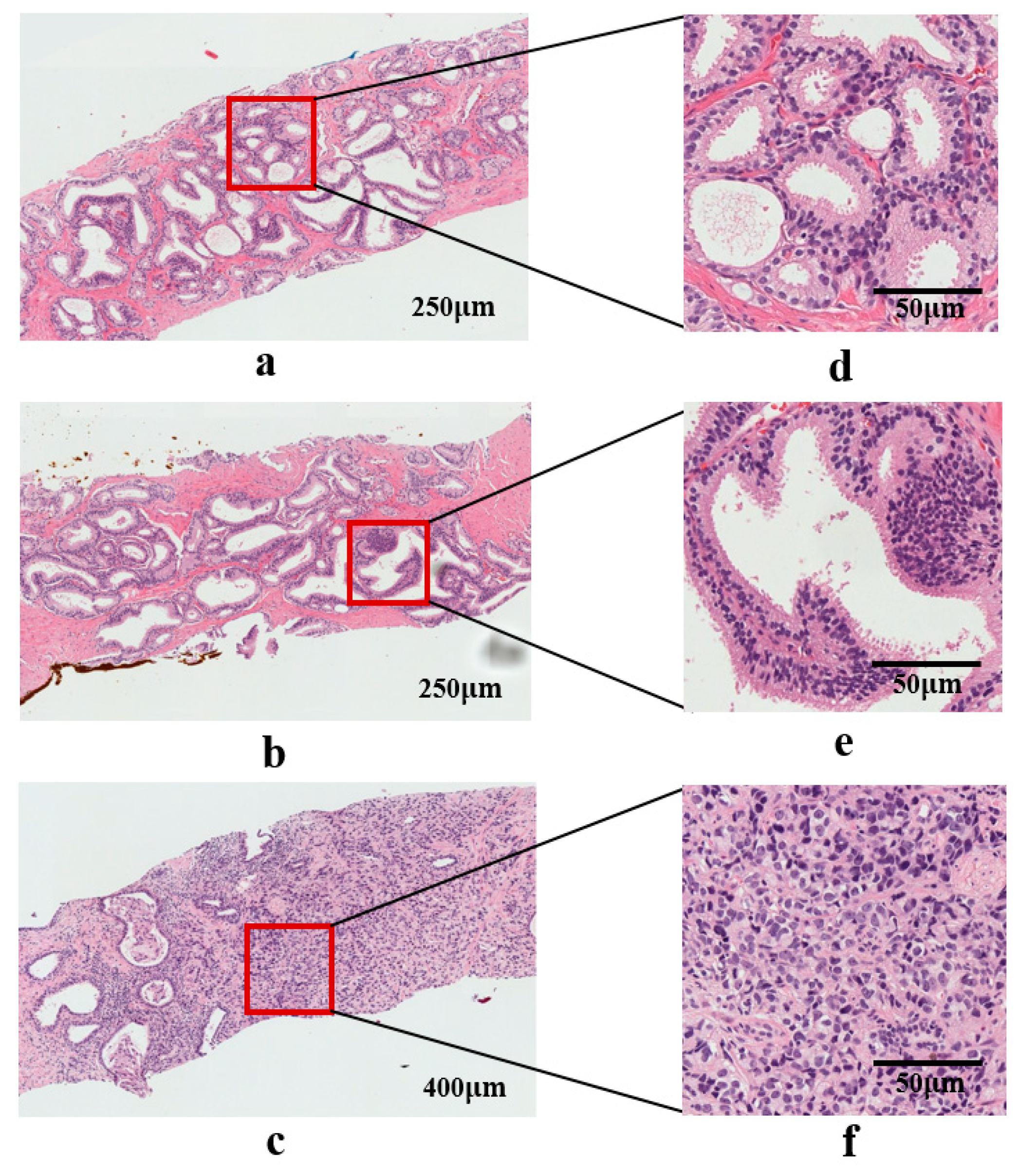 Cancers 11 01937 g0a2