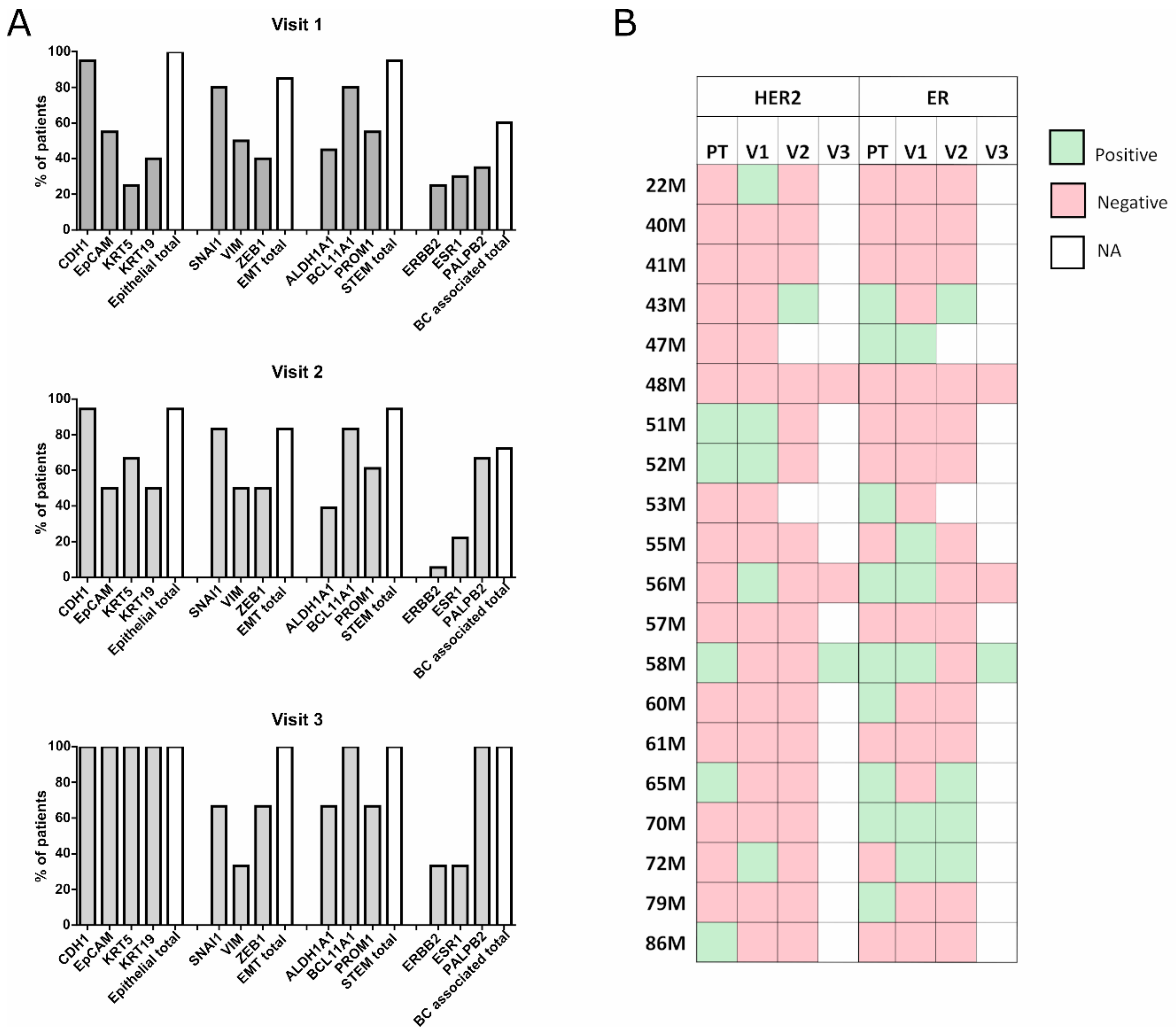 Cancers 11 01941 g002 Cancers 11 01941 g002