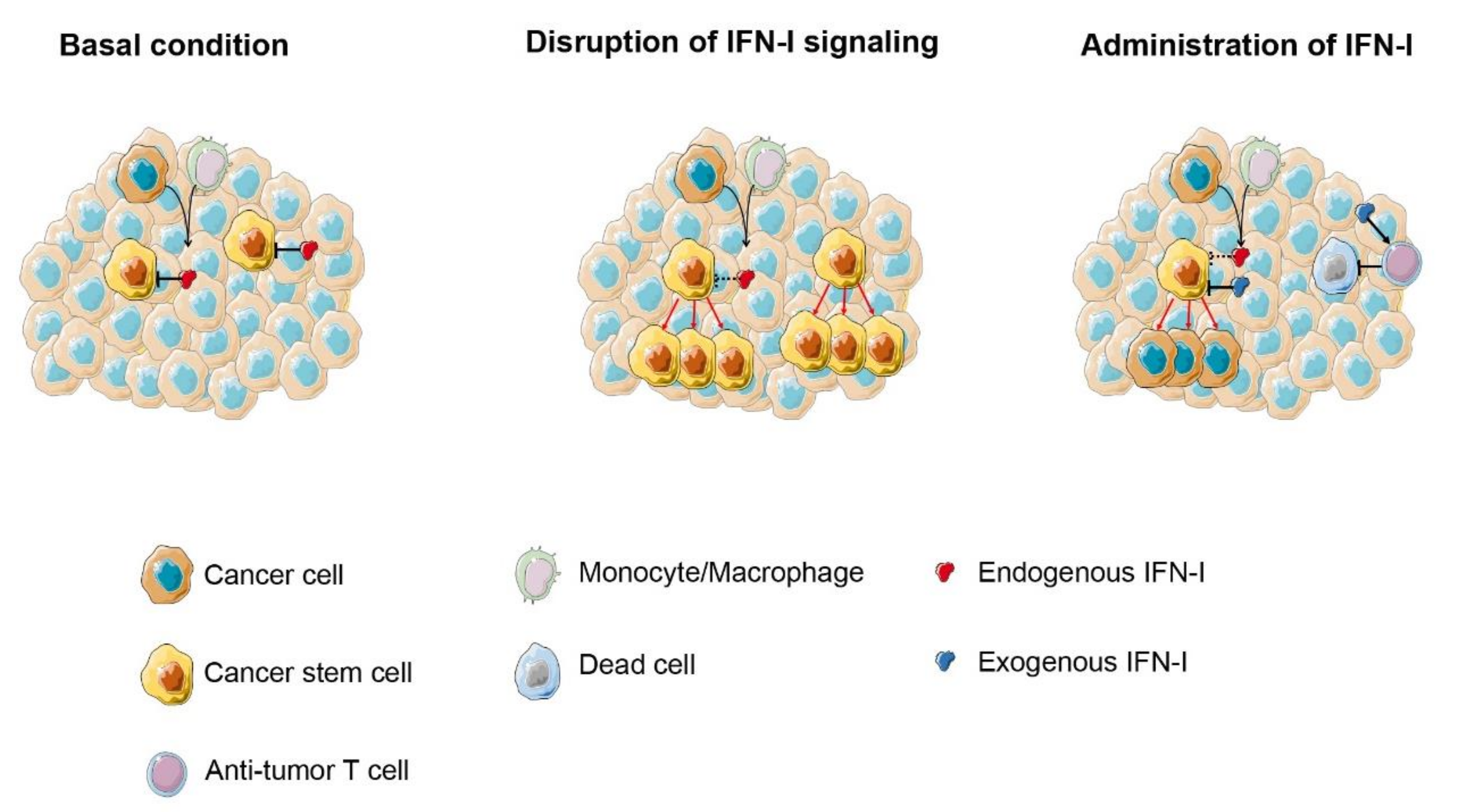 Cancers 11 01943 g002 Cancers 11 01943 g002