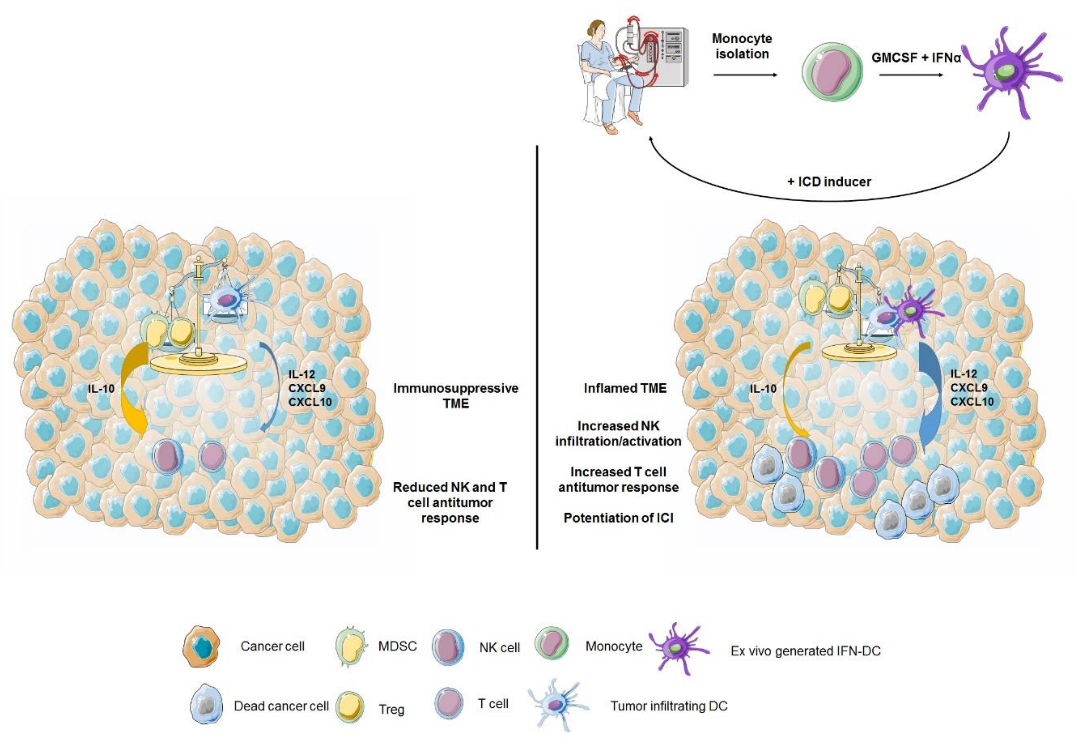 Cancers 11 01943 g003 Cancers 11 01943 g003