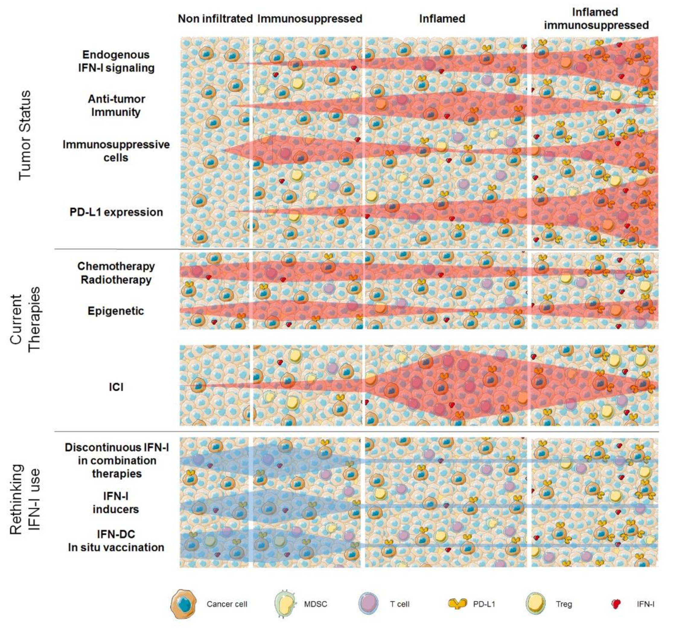 Cancers 11 01943 g004 Cancers 11 01943 g004