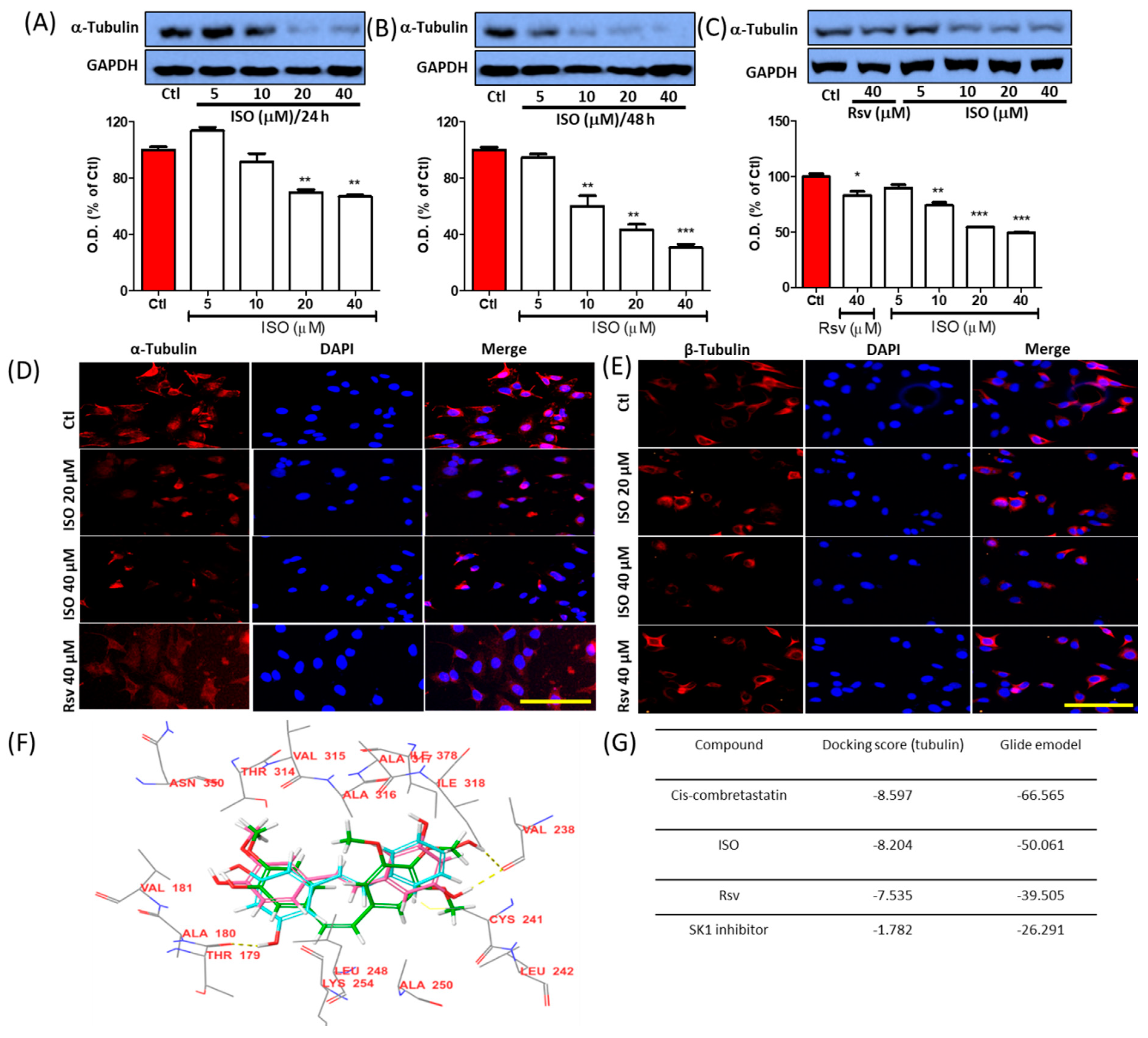 Cancers 11 01947 g001 Cancers 11 01947 g001