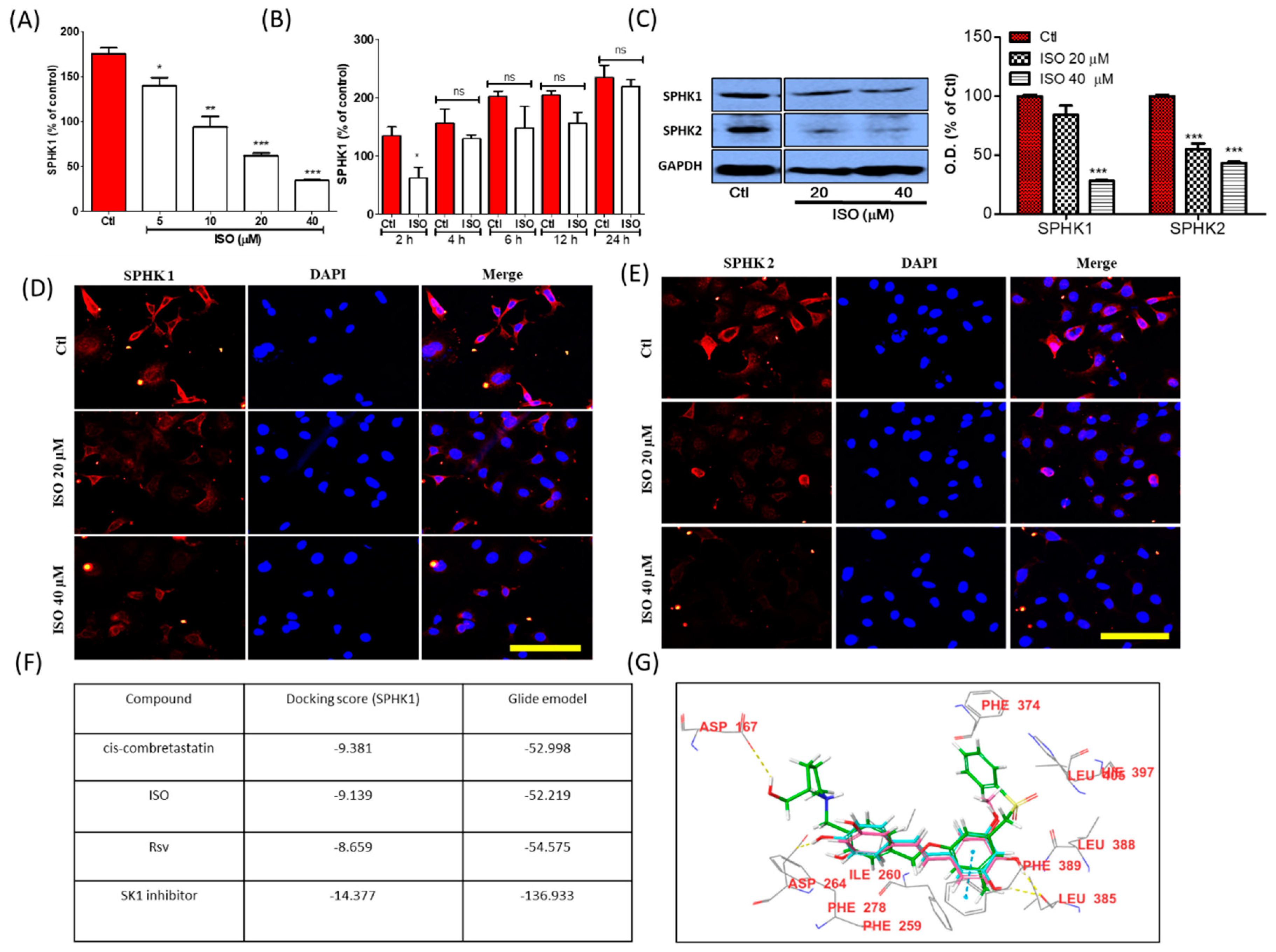 Cancers 11 01947 g002 Cancers 11 01947 g002