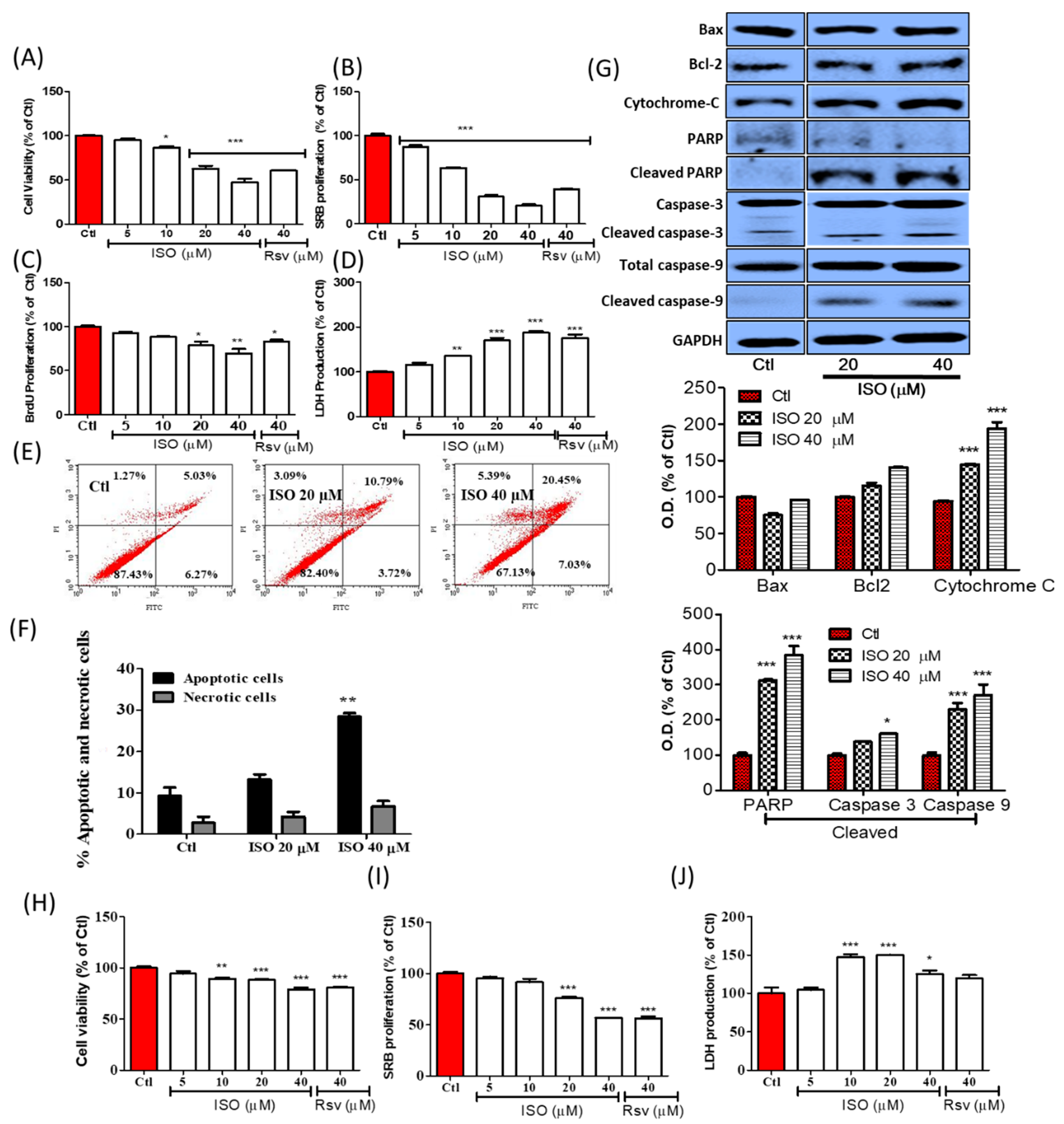 Cancers 11 01947 g004 Cancers 11 01947 g004