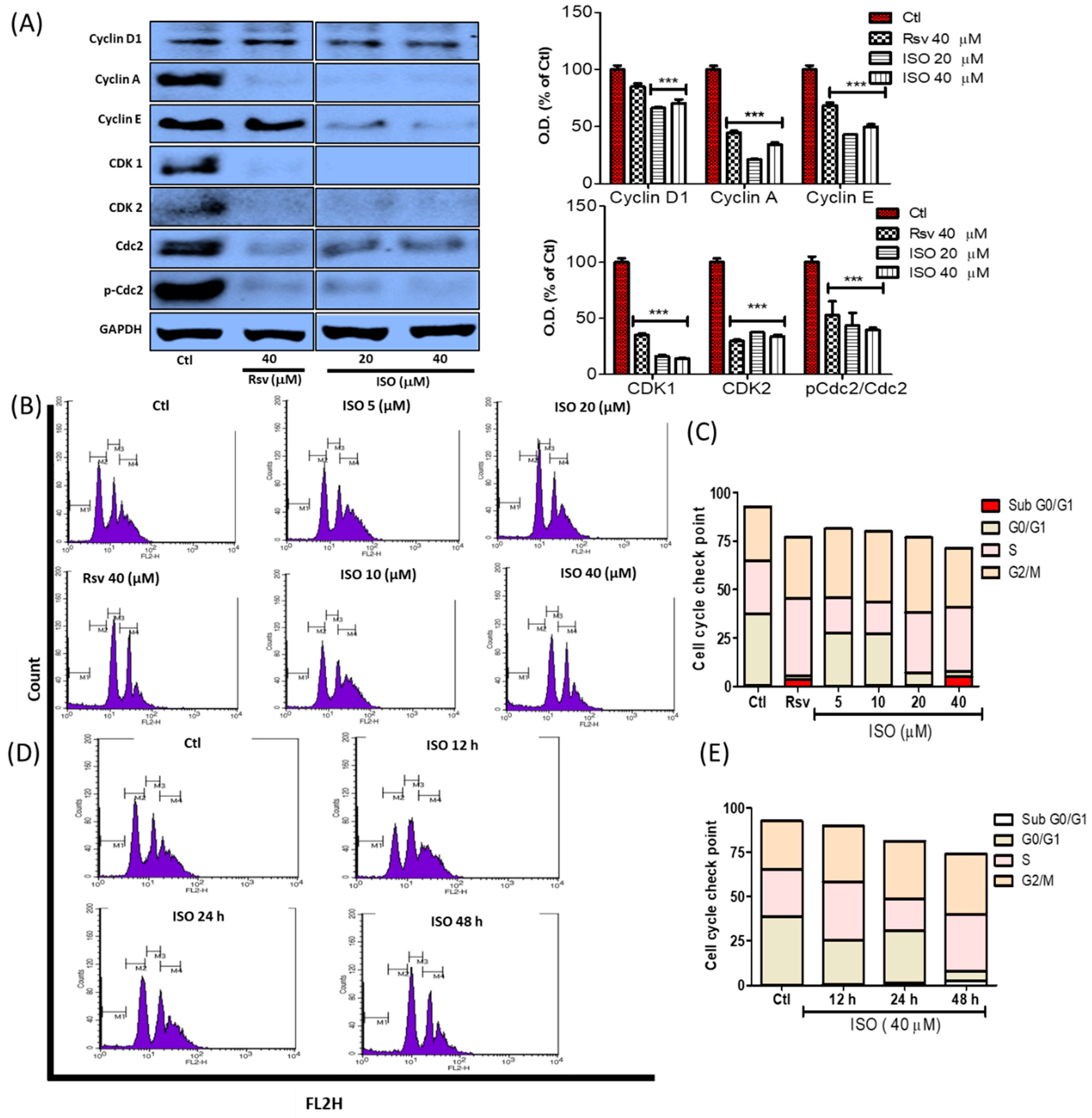 Cancers 11 01947 g009 Cancers 11 01947 g009