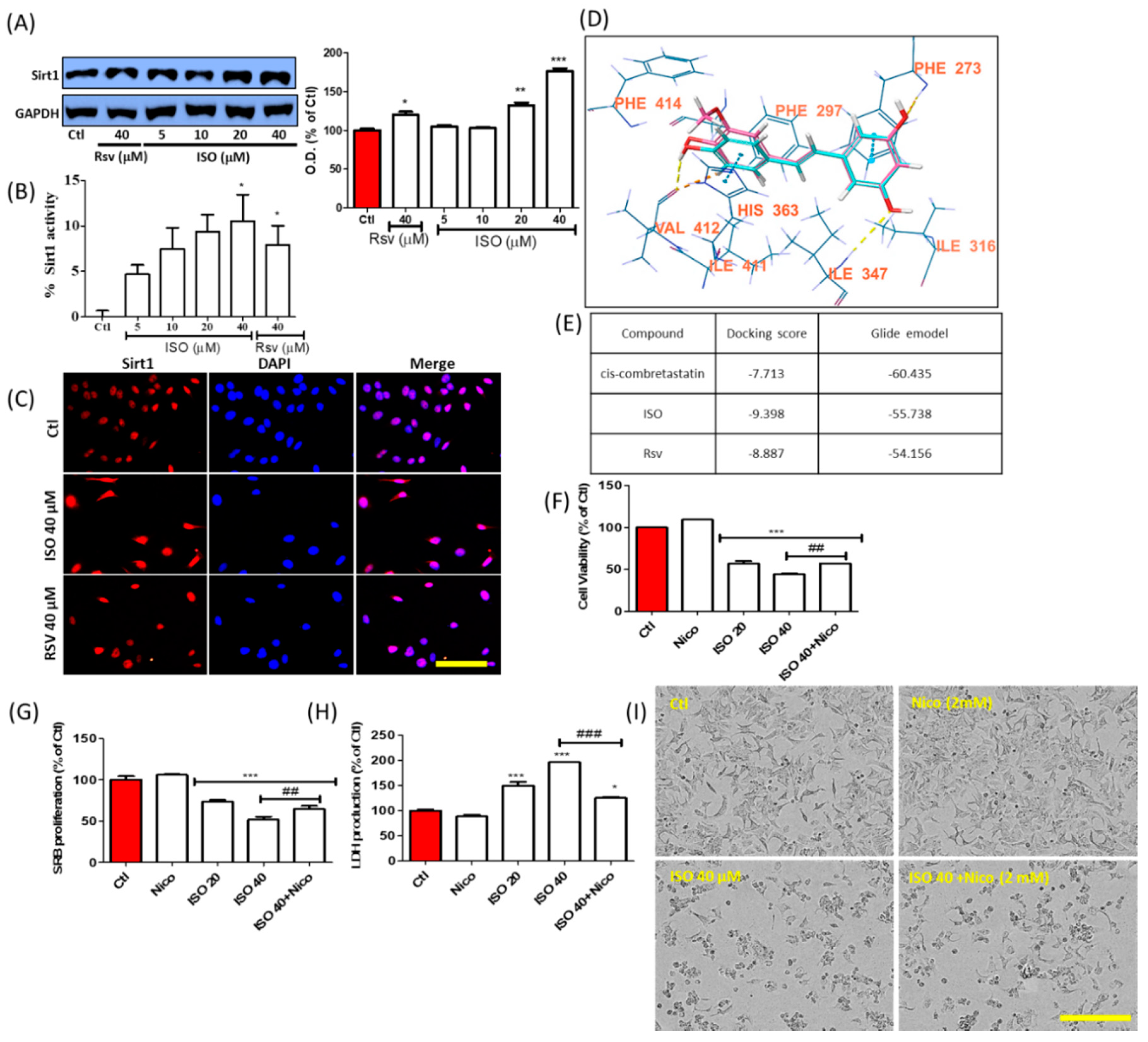 Cancers 11 01947 g010 Cancers 11 01947 g010