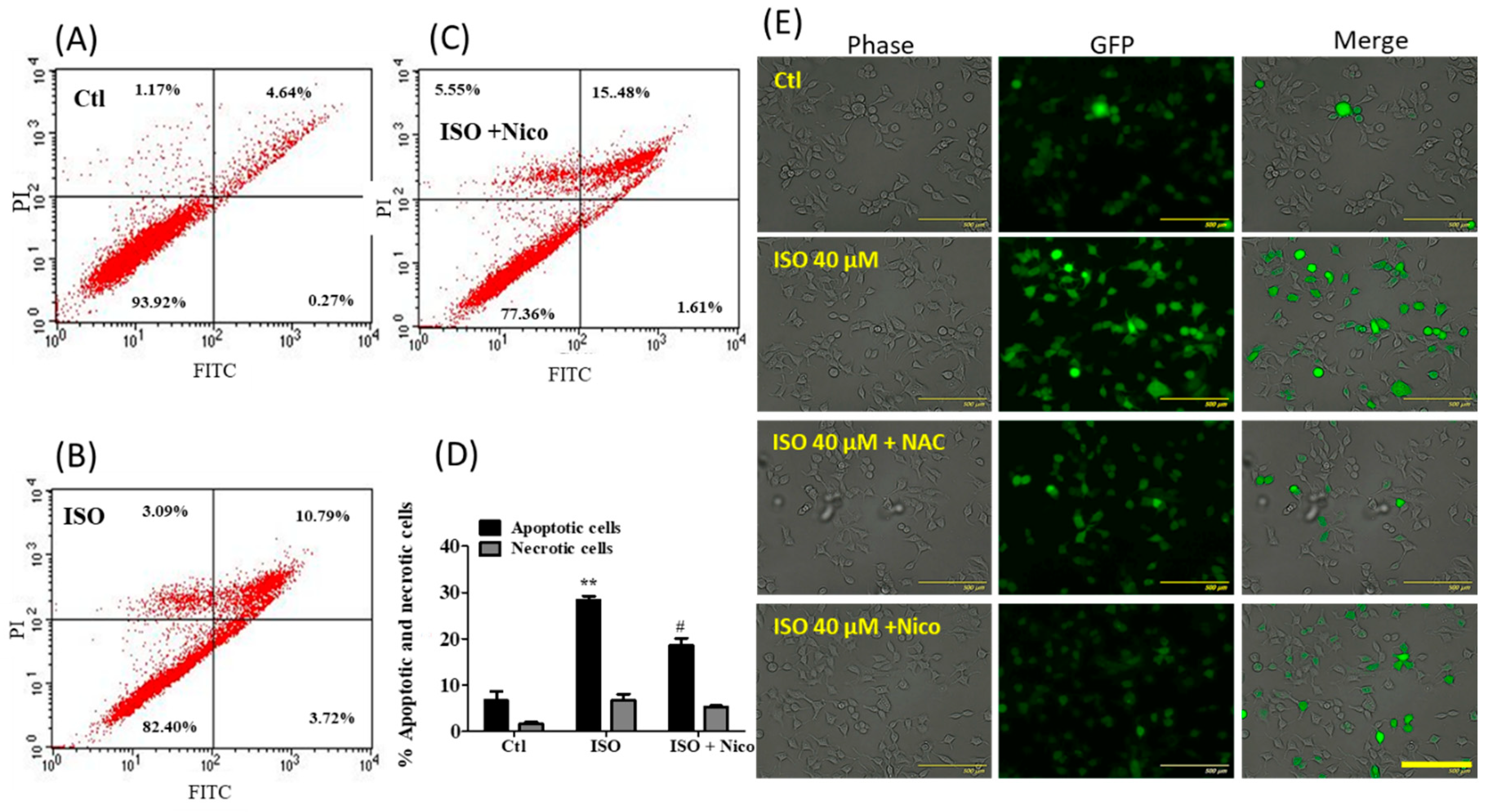Cancers 11 01947 g011 Cancers 11 01947 g011