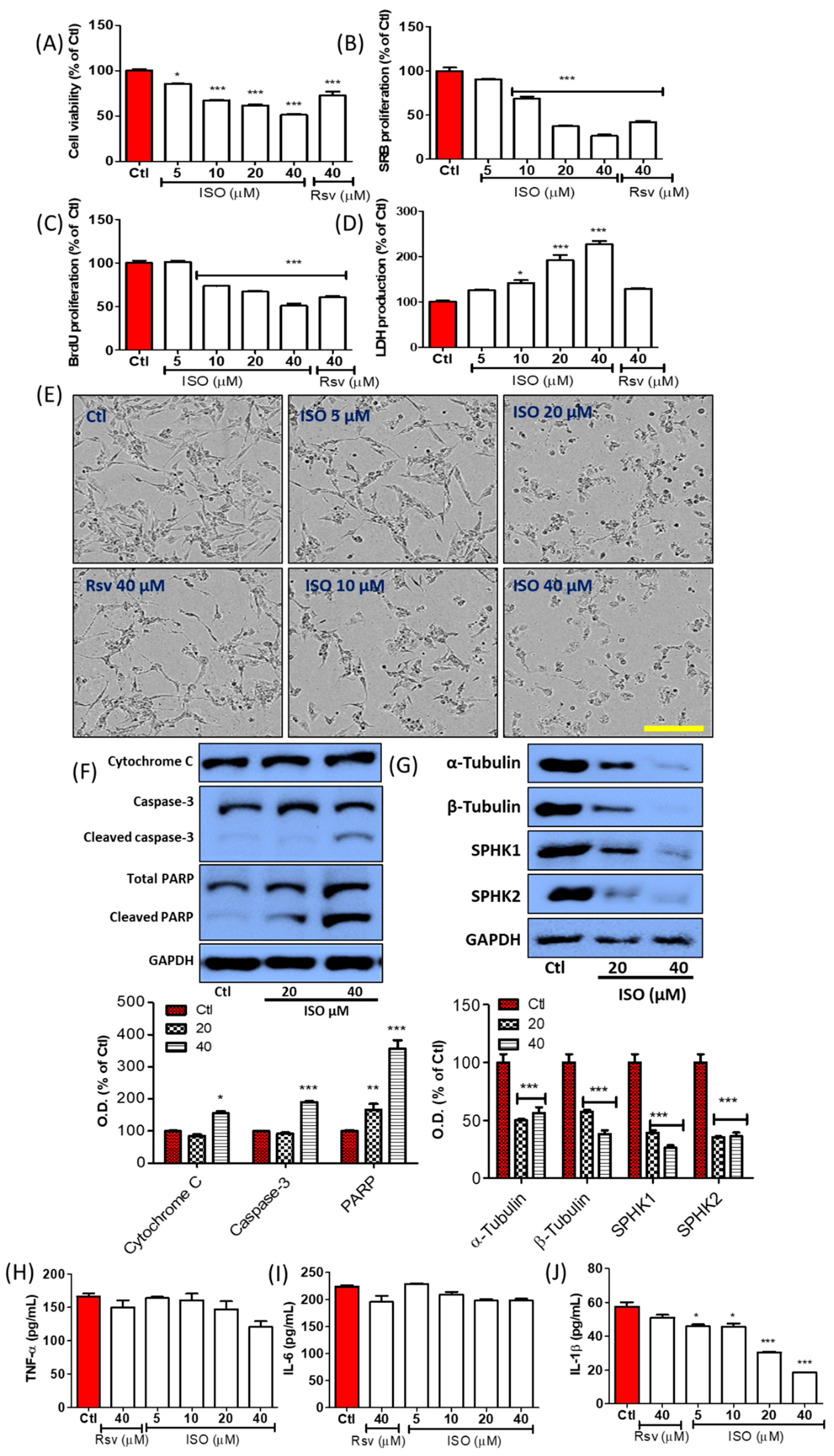 Cancers 11 01947 g012a Cancers 11 01947 g012a