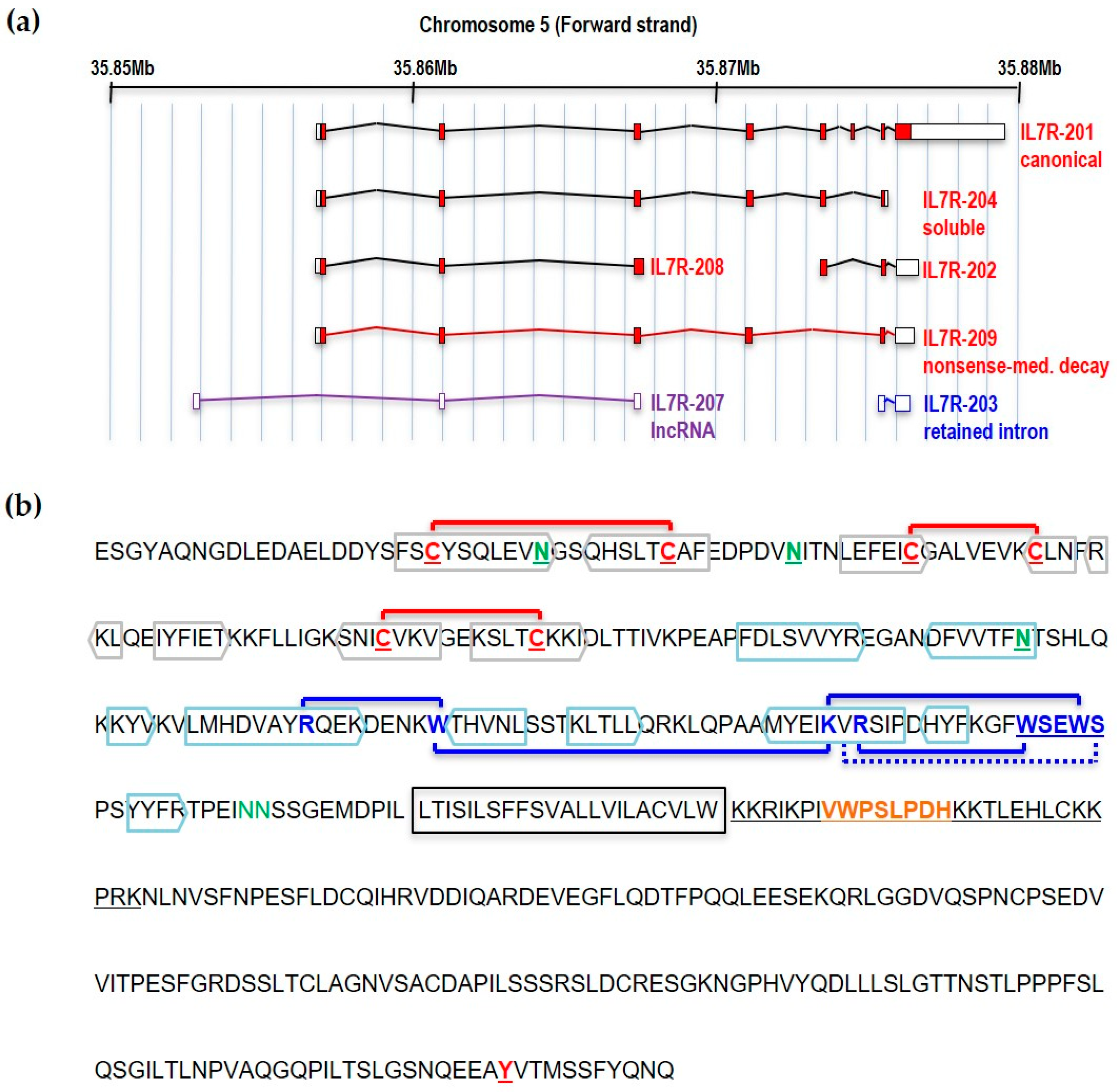 Cancers 11 01952 g001