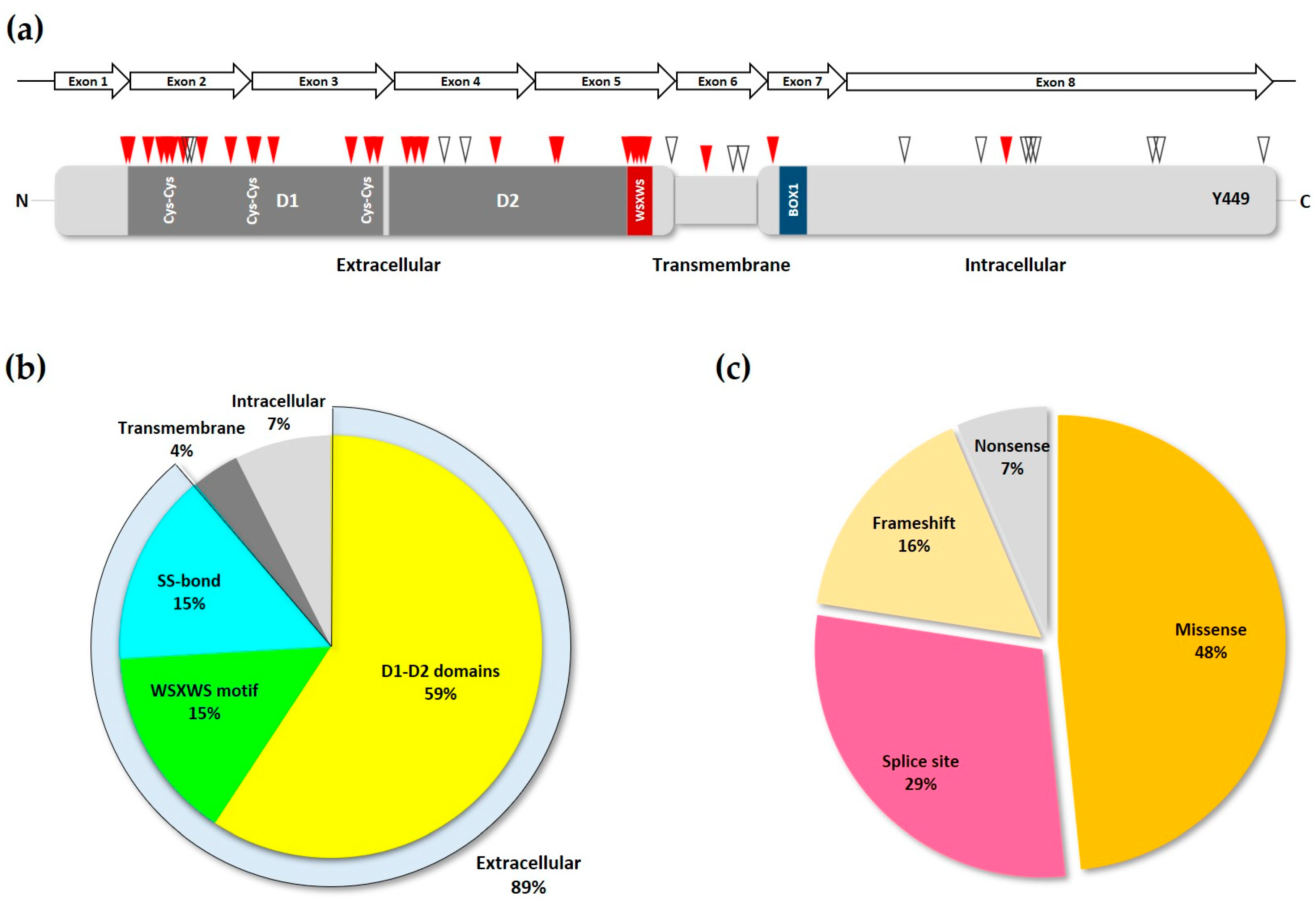 Cancers 11 01952 g003