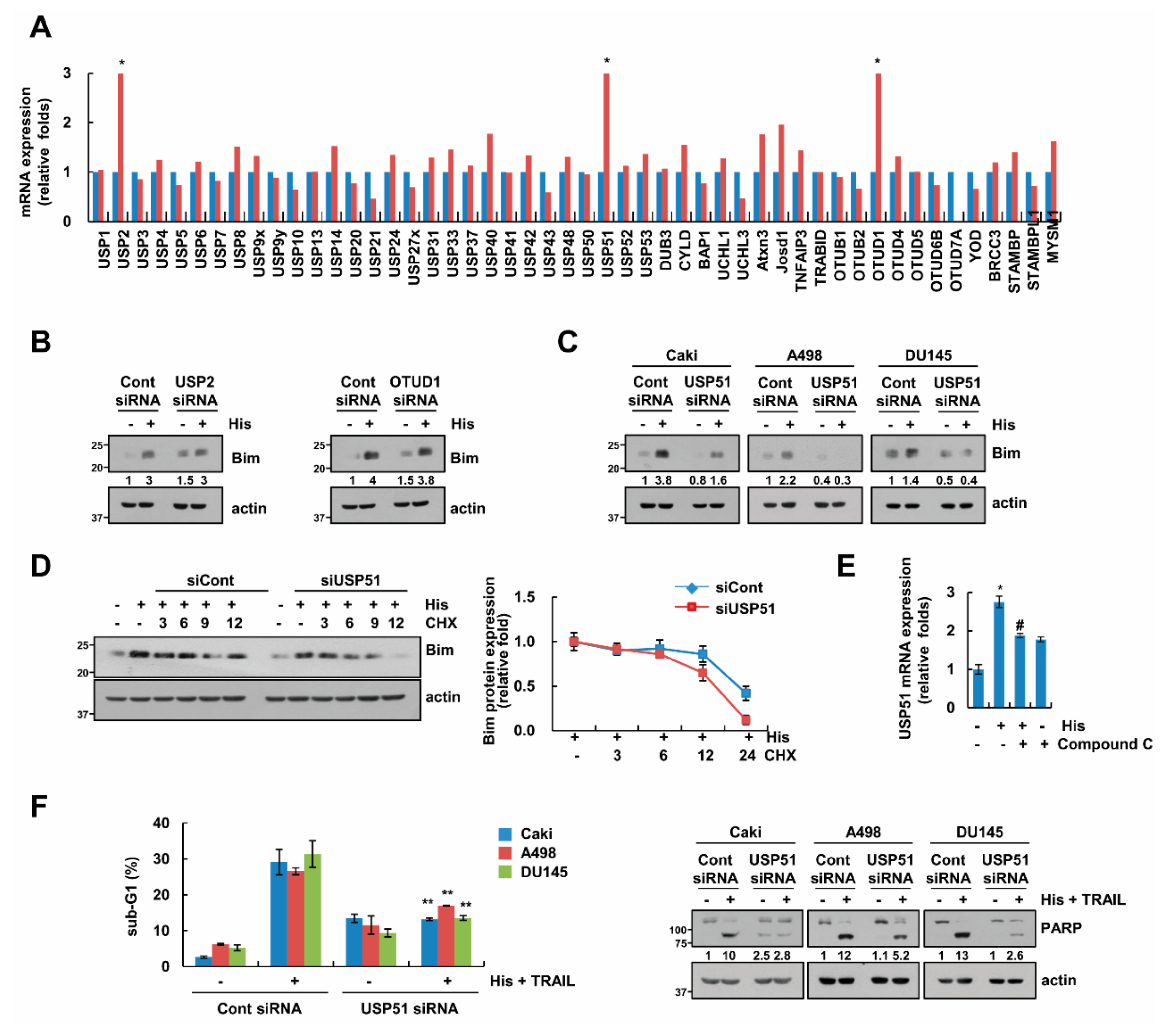 Cancers 11 01960 g006 Cancers 11 01960 g006