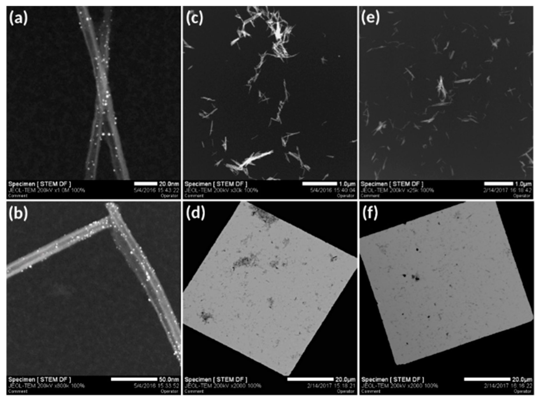 Cancers 11 01962 g003