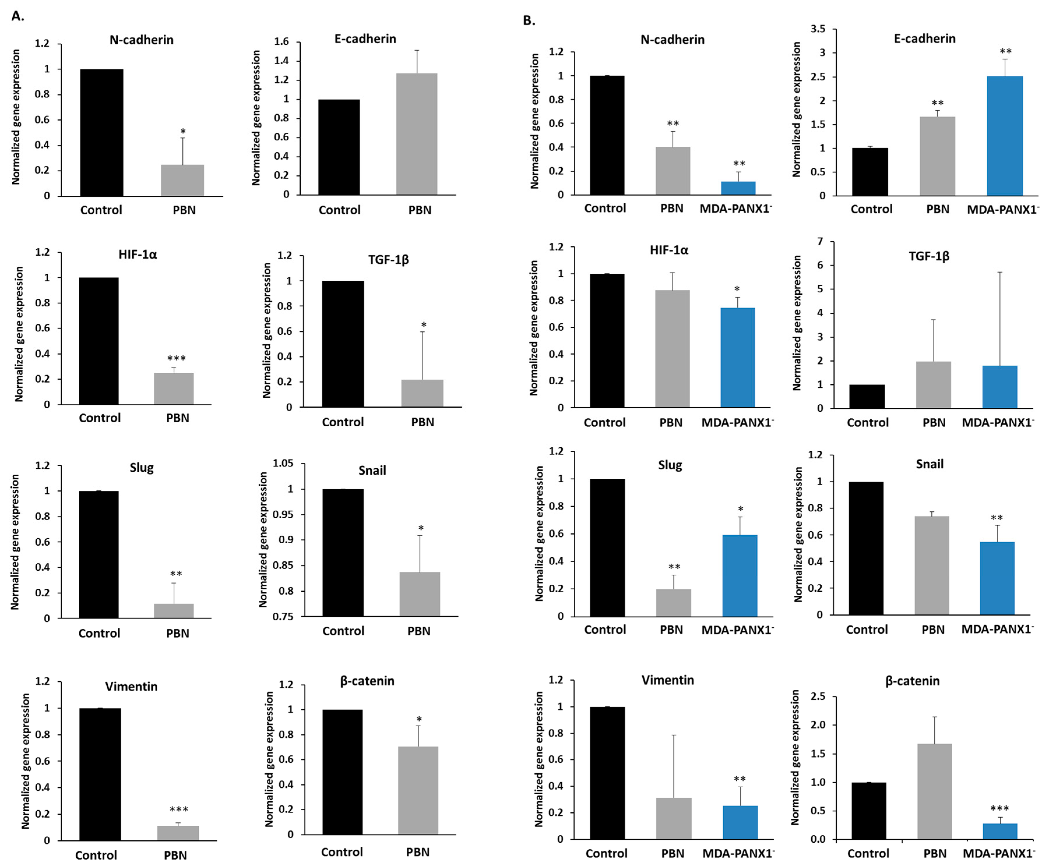 Cancers 11 01967 g005 550