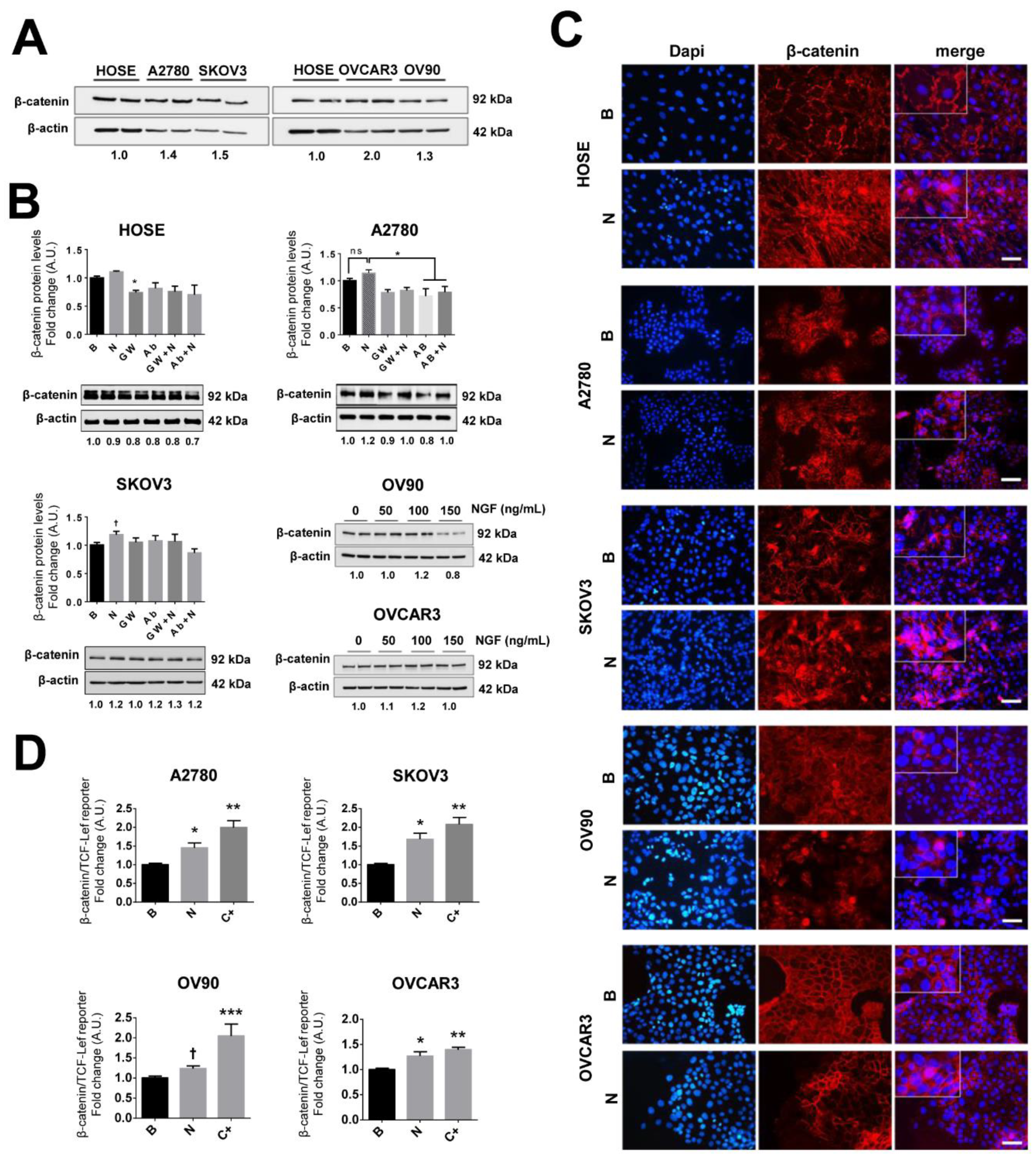 Cancers 11 01970 g003 Cancers 11 01970 g003