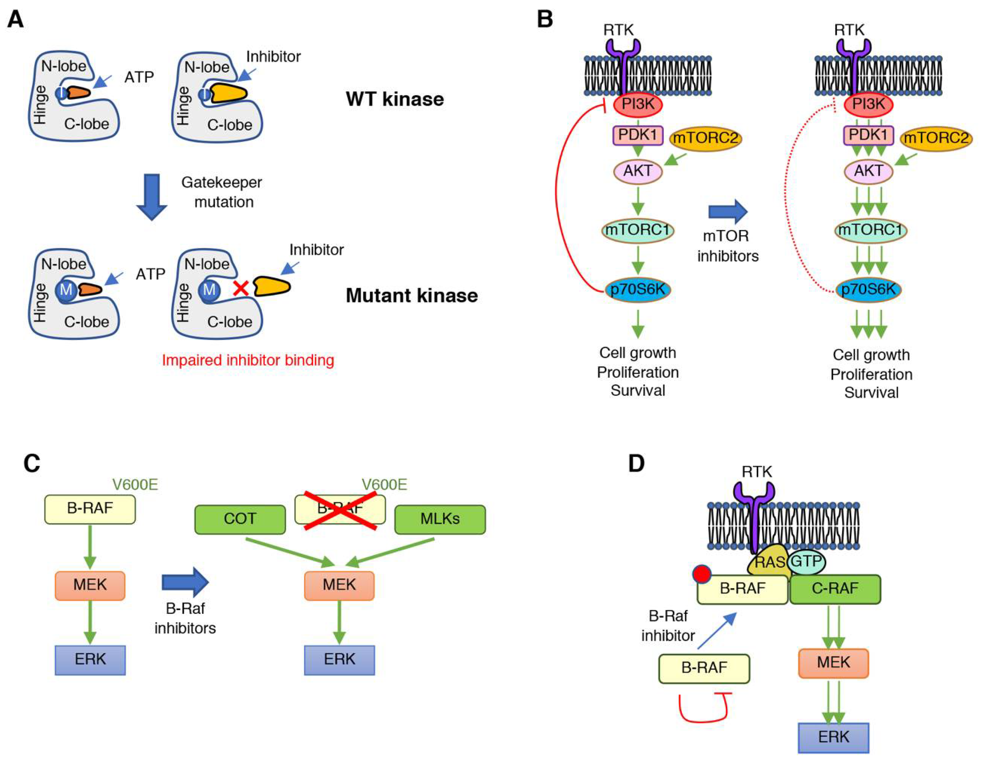 Cancers 11 01972 g002 Cancers 11 01972 g002