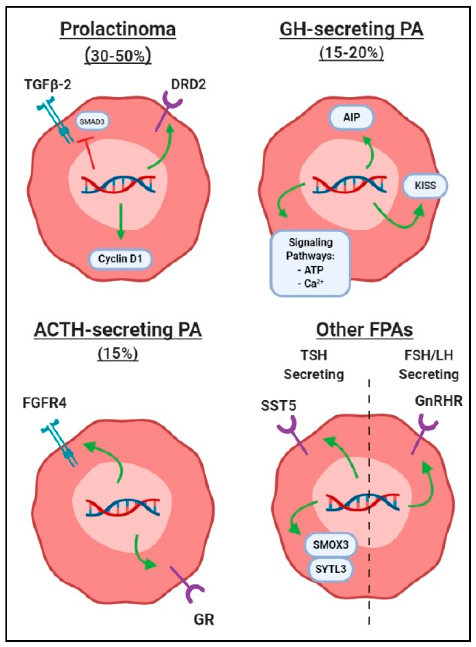 Cancers 11 01977 g002 Cancers 11 01977 g002