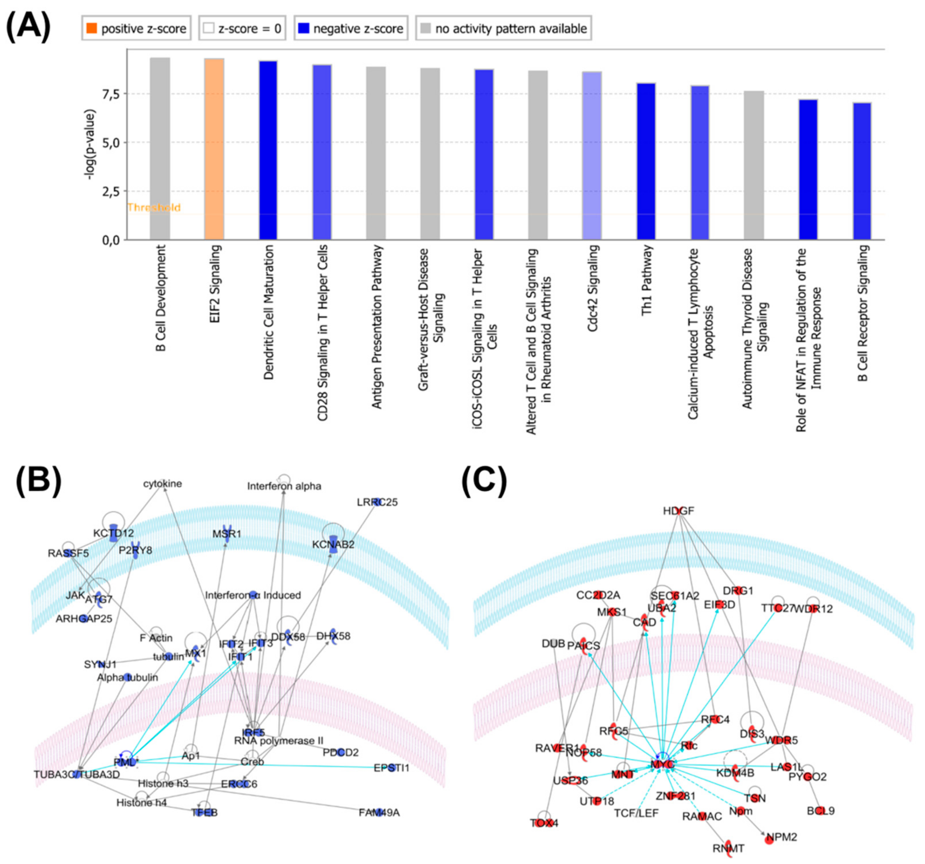 Cancers 11 01981 g006 Cancers 11 01981 g006