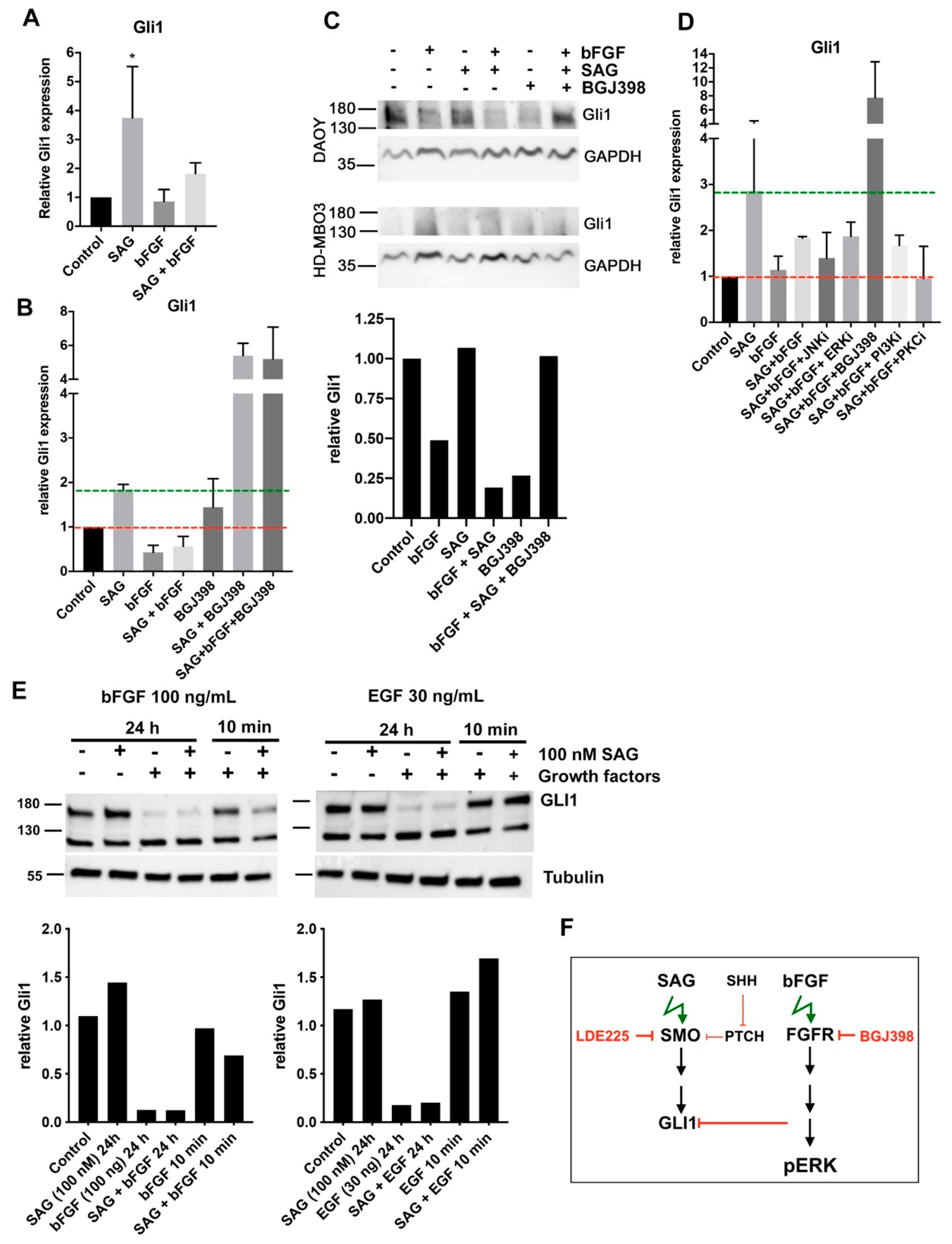 Cancers 11 01985 g001