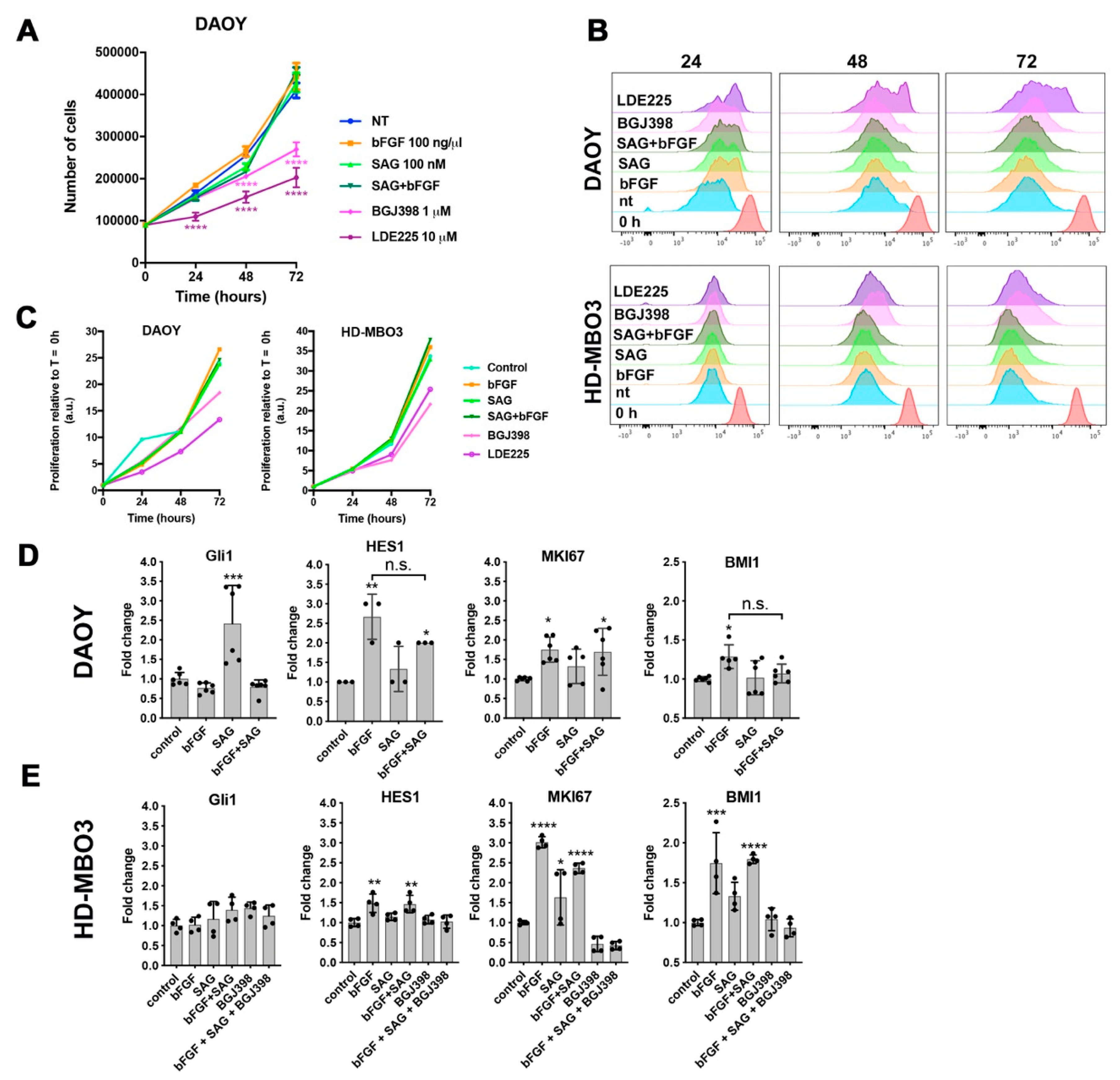 Cancers 11 01985 g003