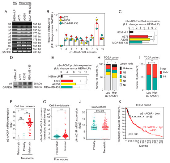 The α9 Nicotinic Acetylcholine Receptor Mediates Nicotine