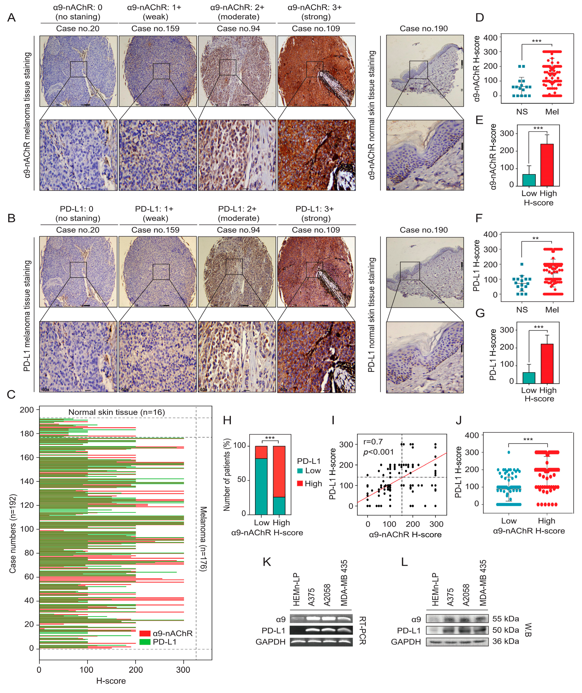 Cancers 11 01991 g002 Cancers 11 01991 g002