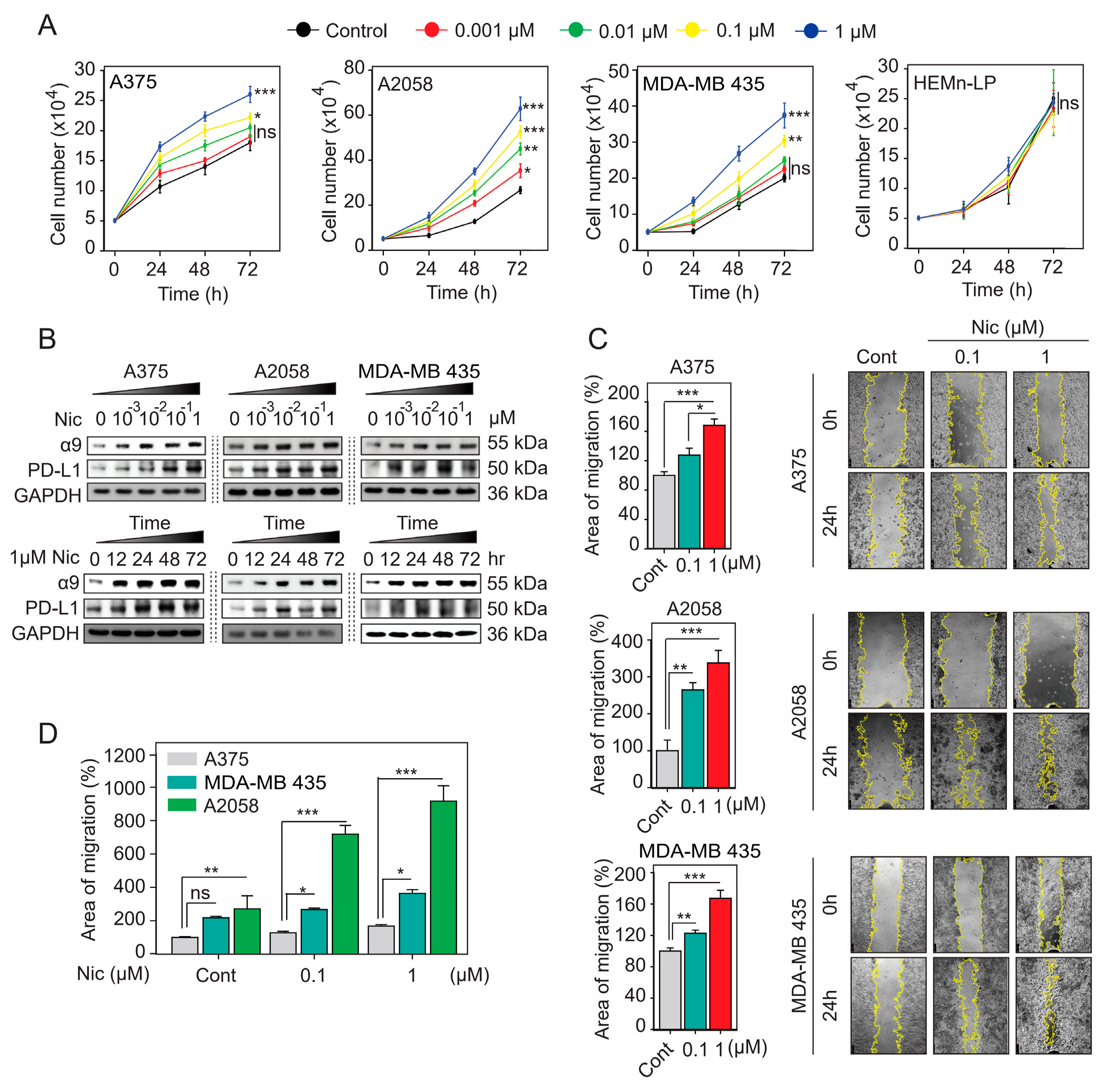 Cancers 11 01991 g005 Cancers 11 01991 g005