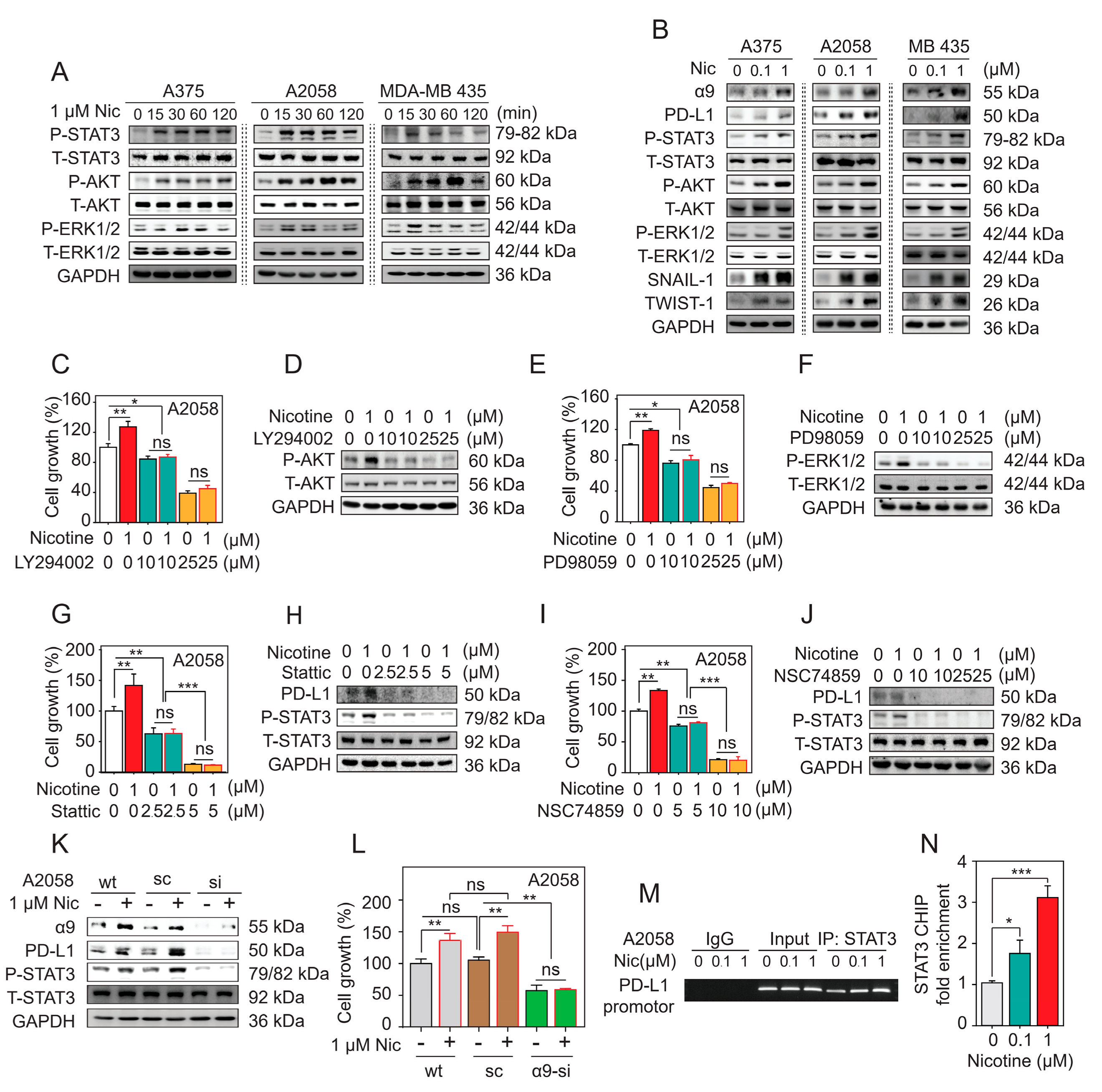 Cancers 11 01991 g006 Cancers 11 01991 g006