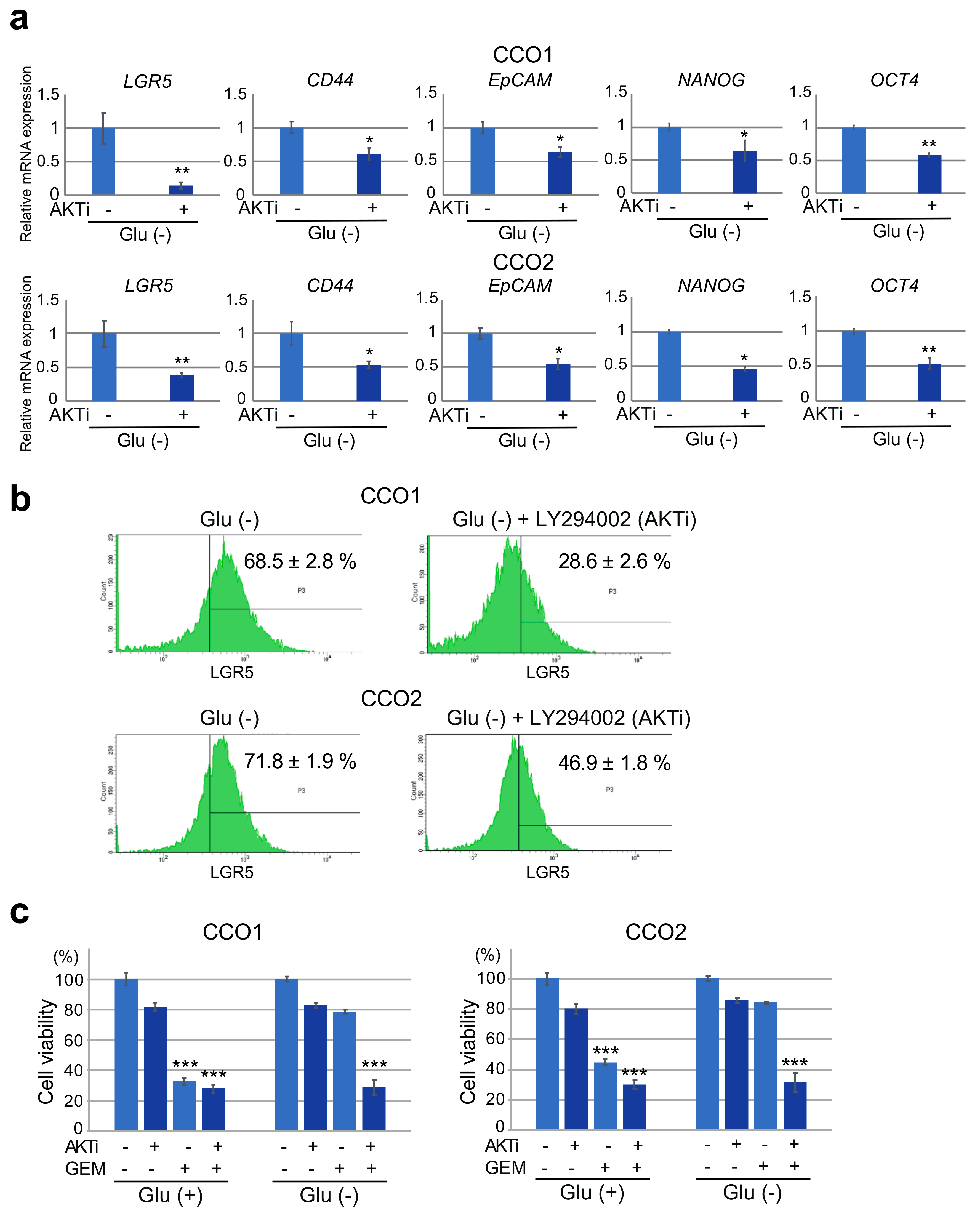 Cancers 11 01993 g004 Cancers 11 01993 g004