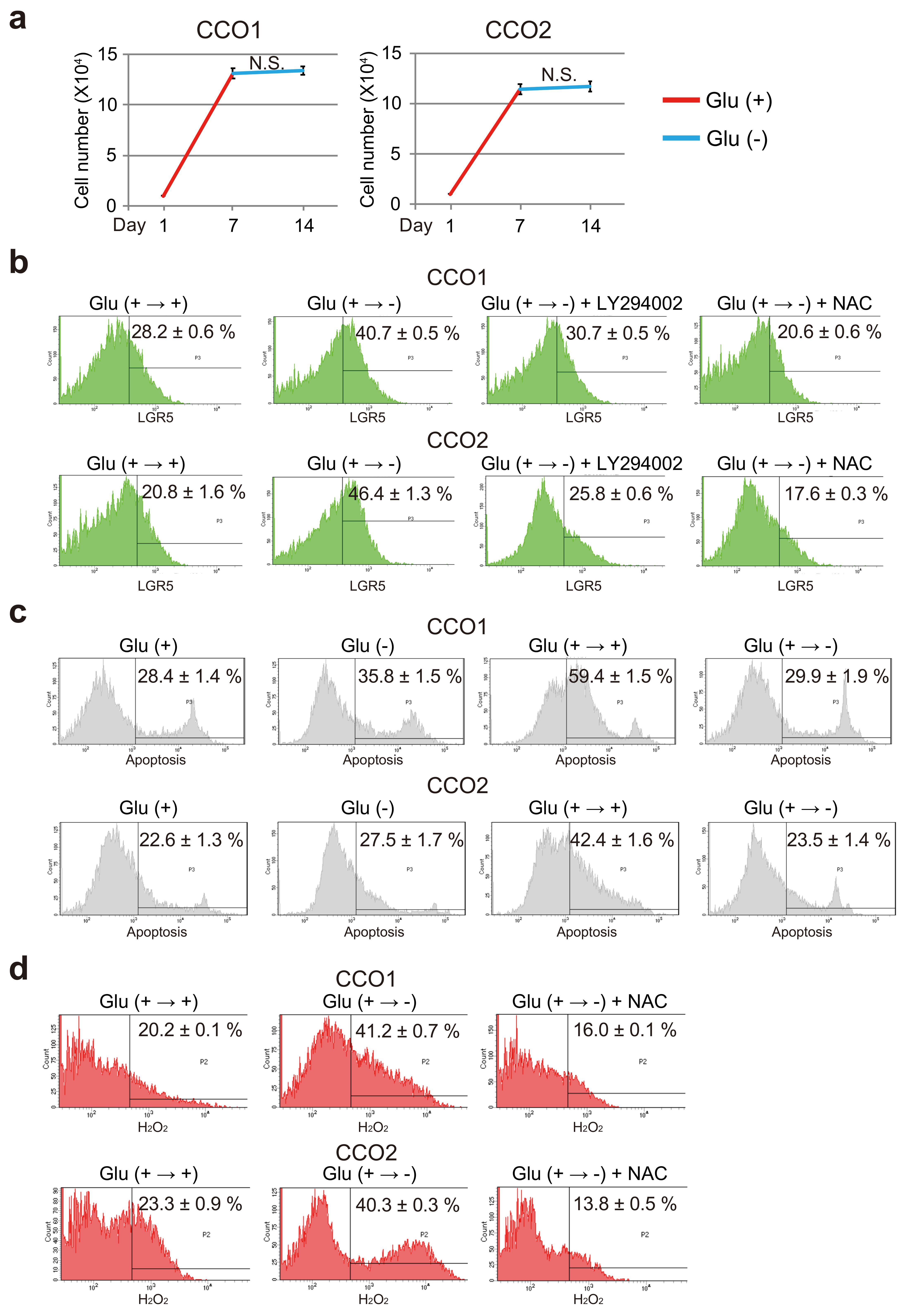 Cancers 11 01993 g007 Cancers 11 01993 g007