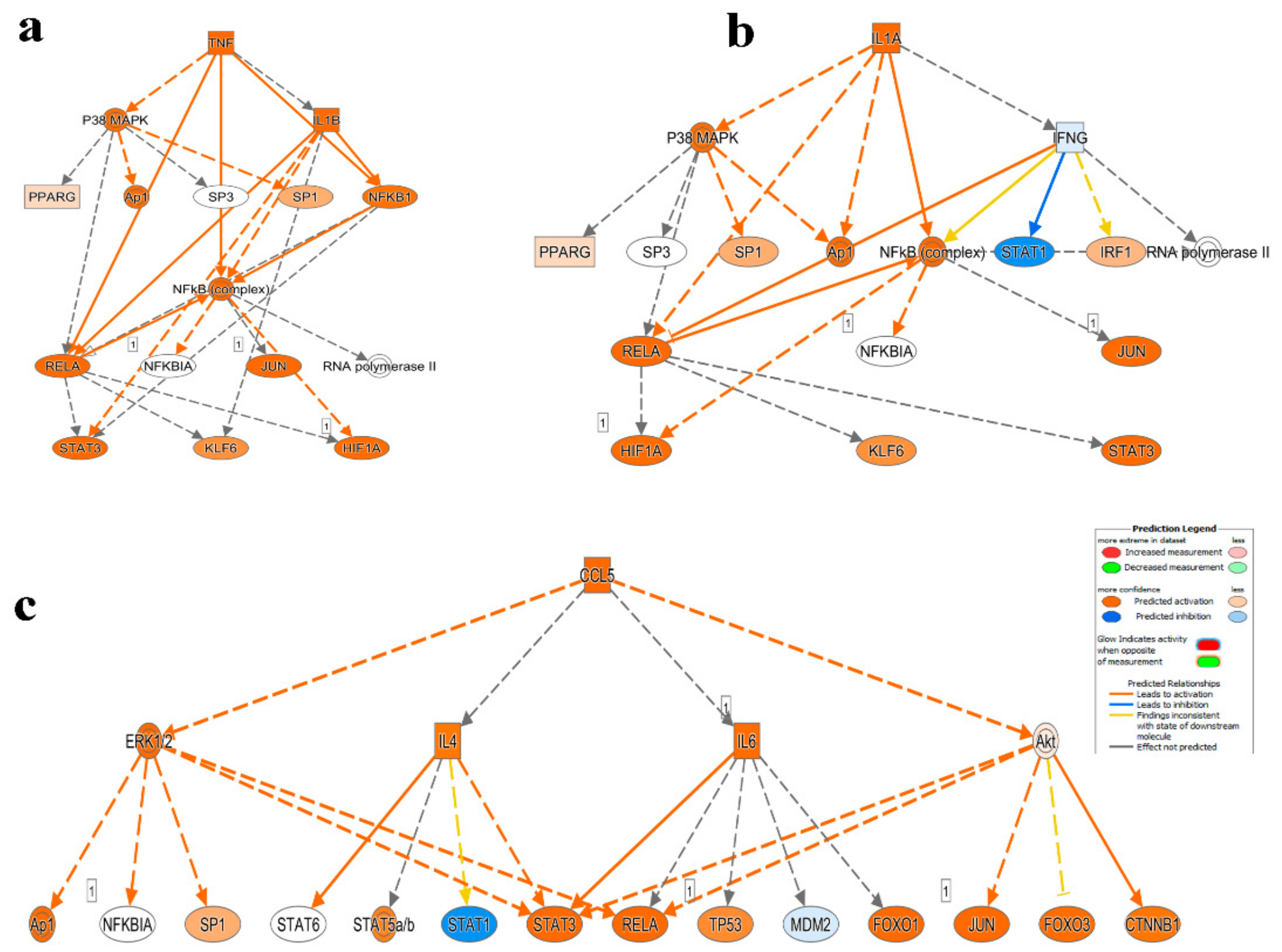 Cancers 11 01994 g004 Cancers 11 01994 g004