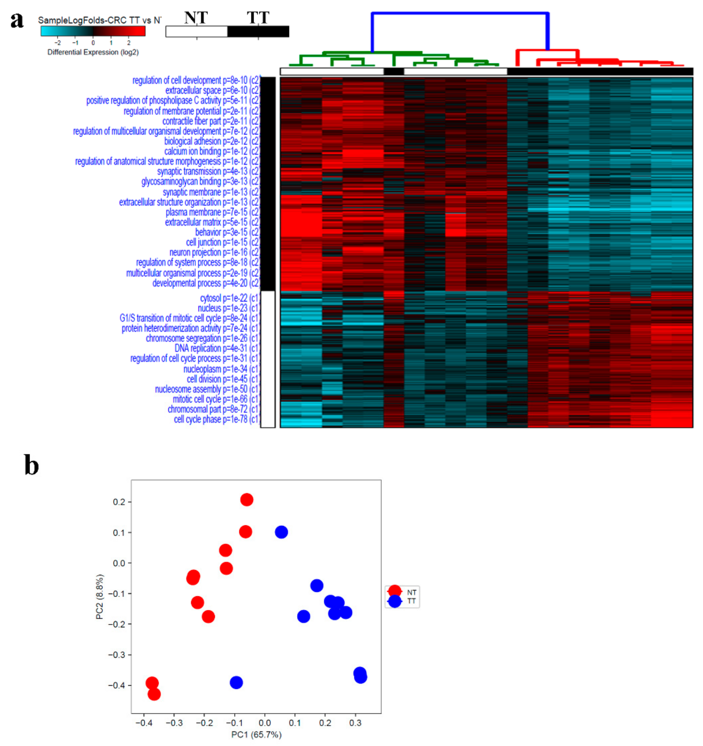 Cancers 11 01994 g005 Cancers 11 01994 g005