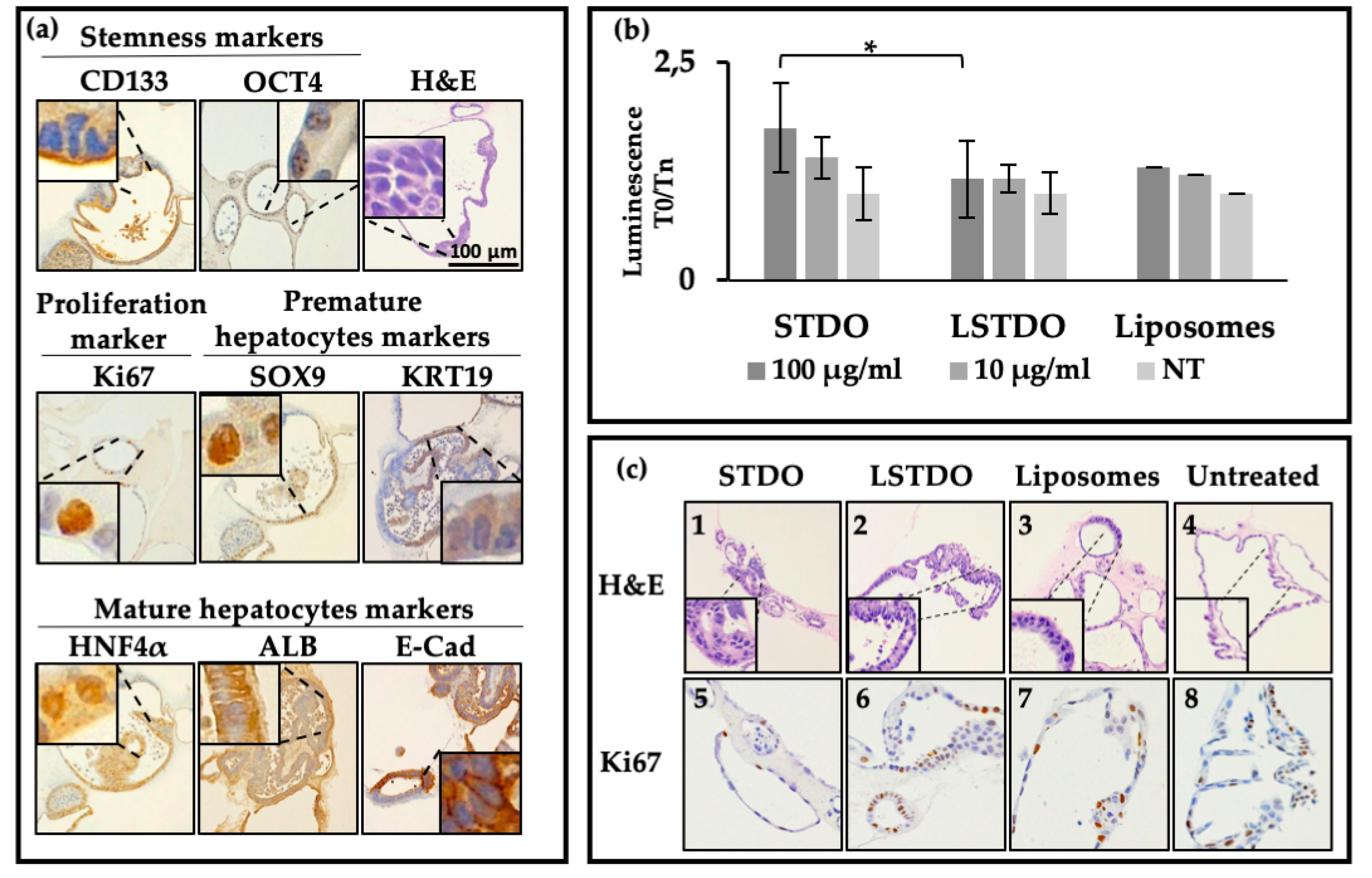 Cancers 11 01997 g002
