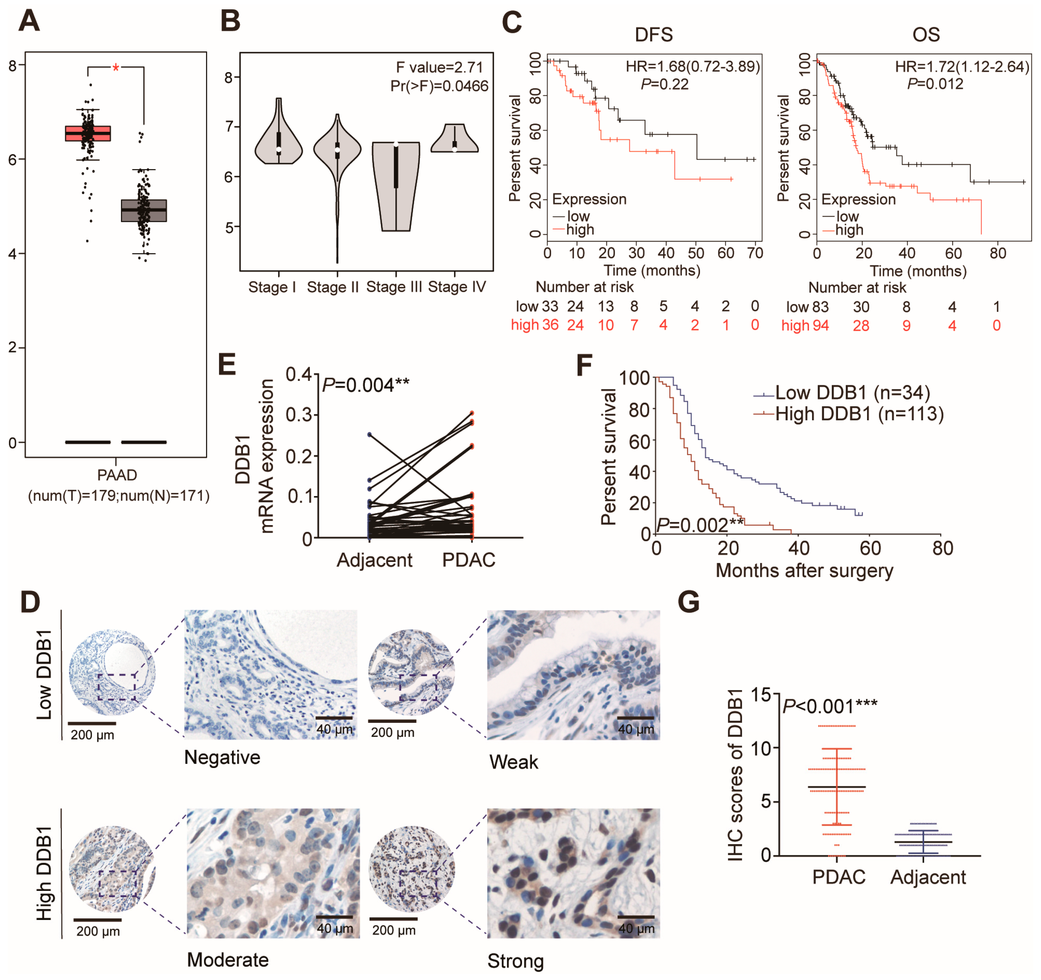 Cancers 11 01998 g001