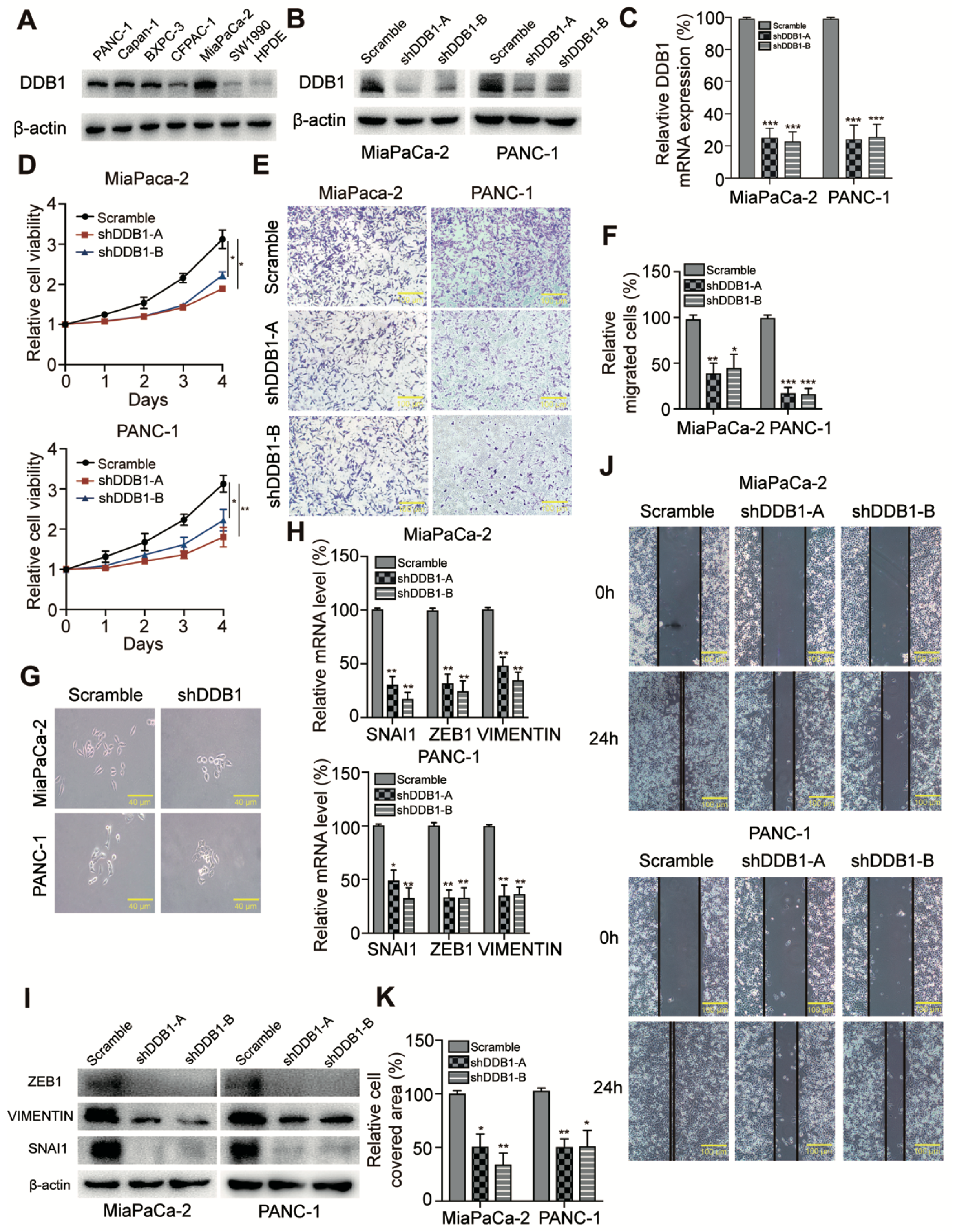 Cancers 11 01998 g002