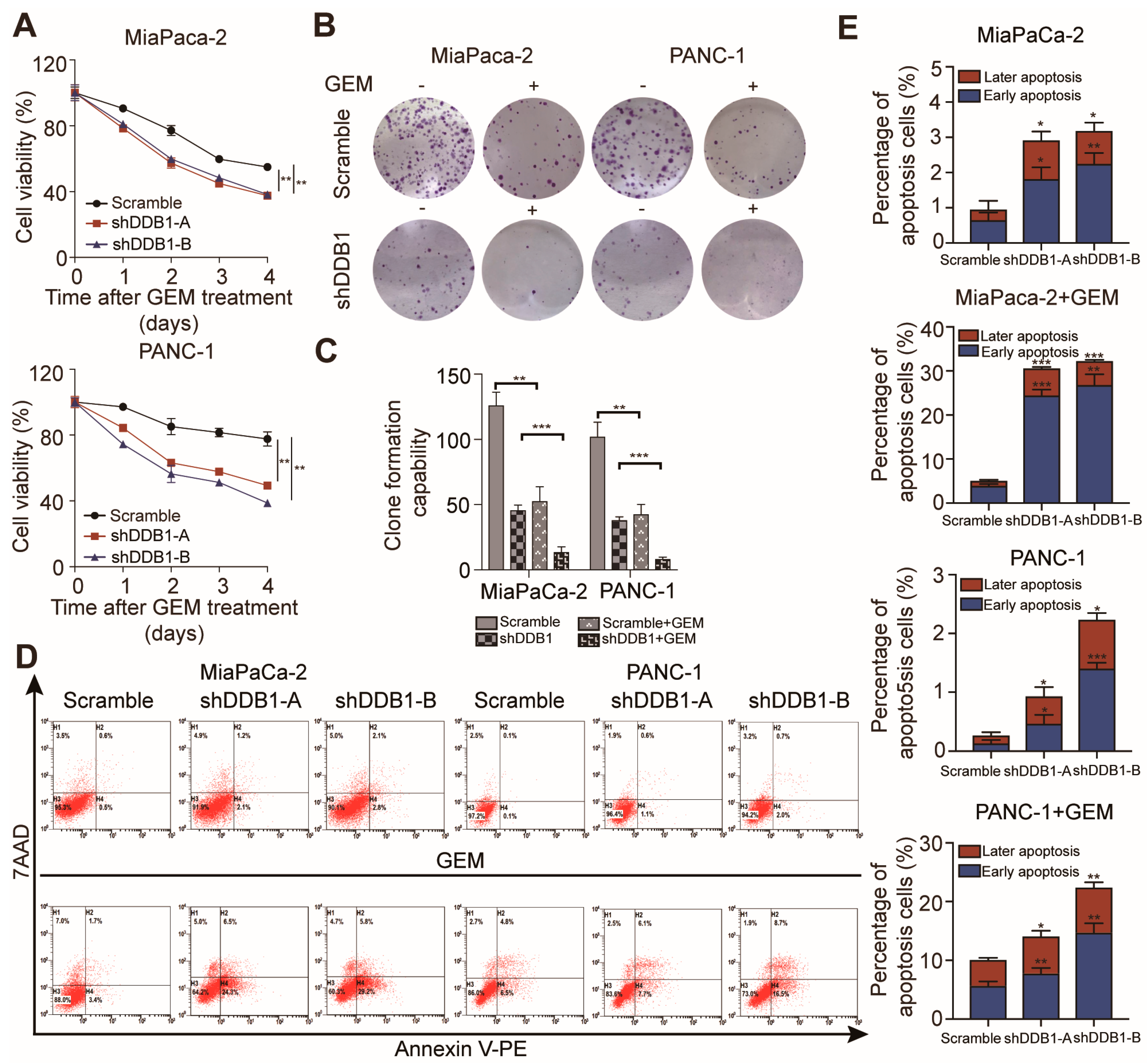 Cancers 11 01998 g003