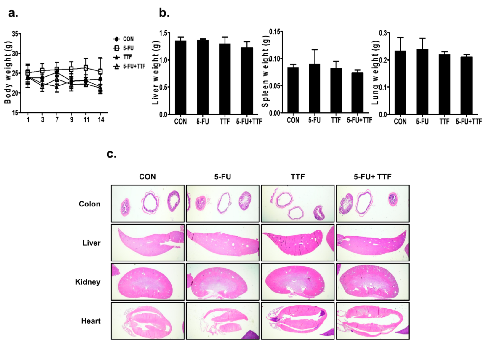 Cancers 11 01999 g002 Cancers 11 01999 g002