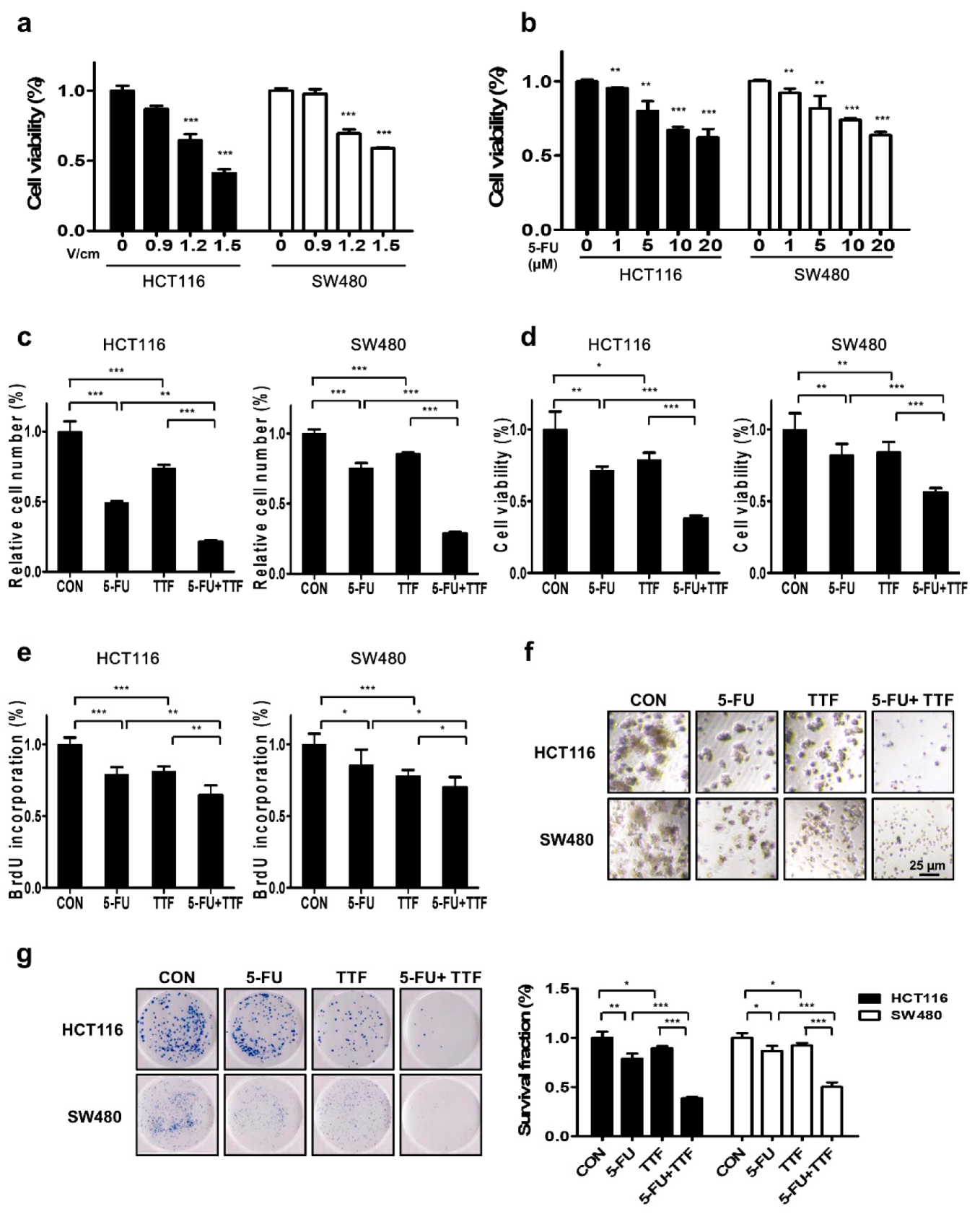 Cancers 11 01999 g003 Cancers 11 01999 g003