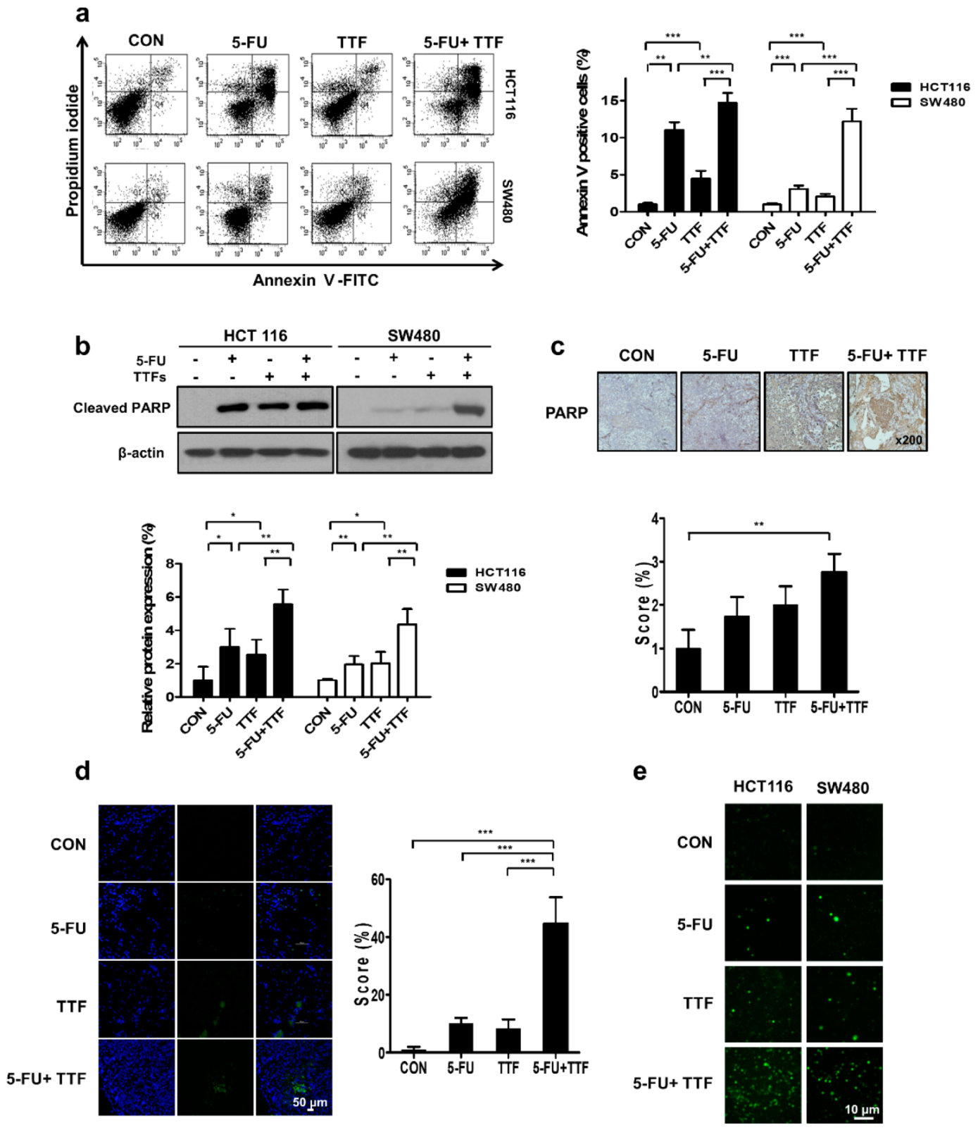 Cancers 11 01999 g004 Cancers 11 01999 g004