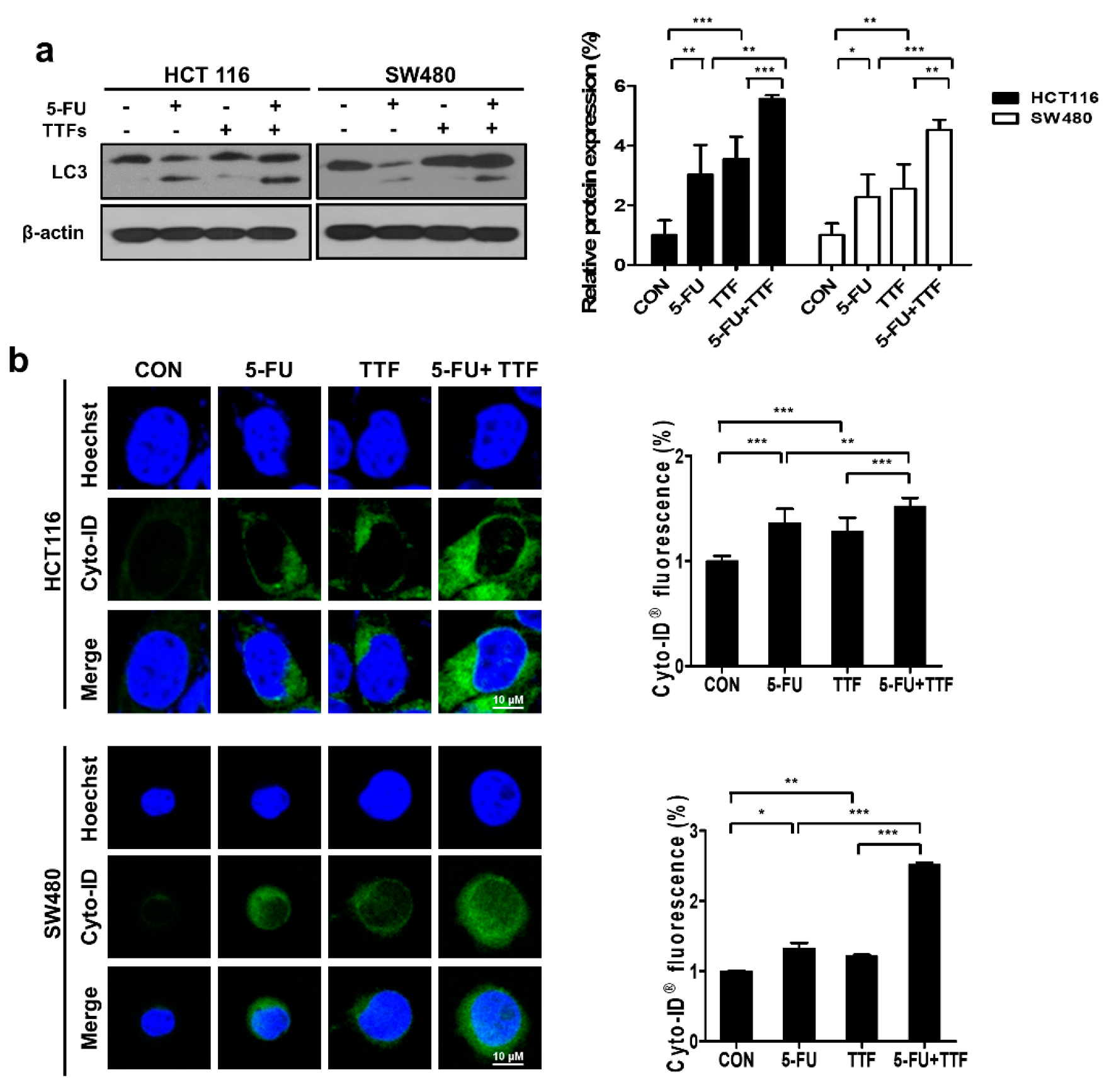 Cancers 11 01999 g006a Cancers 11 01999 g006a