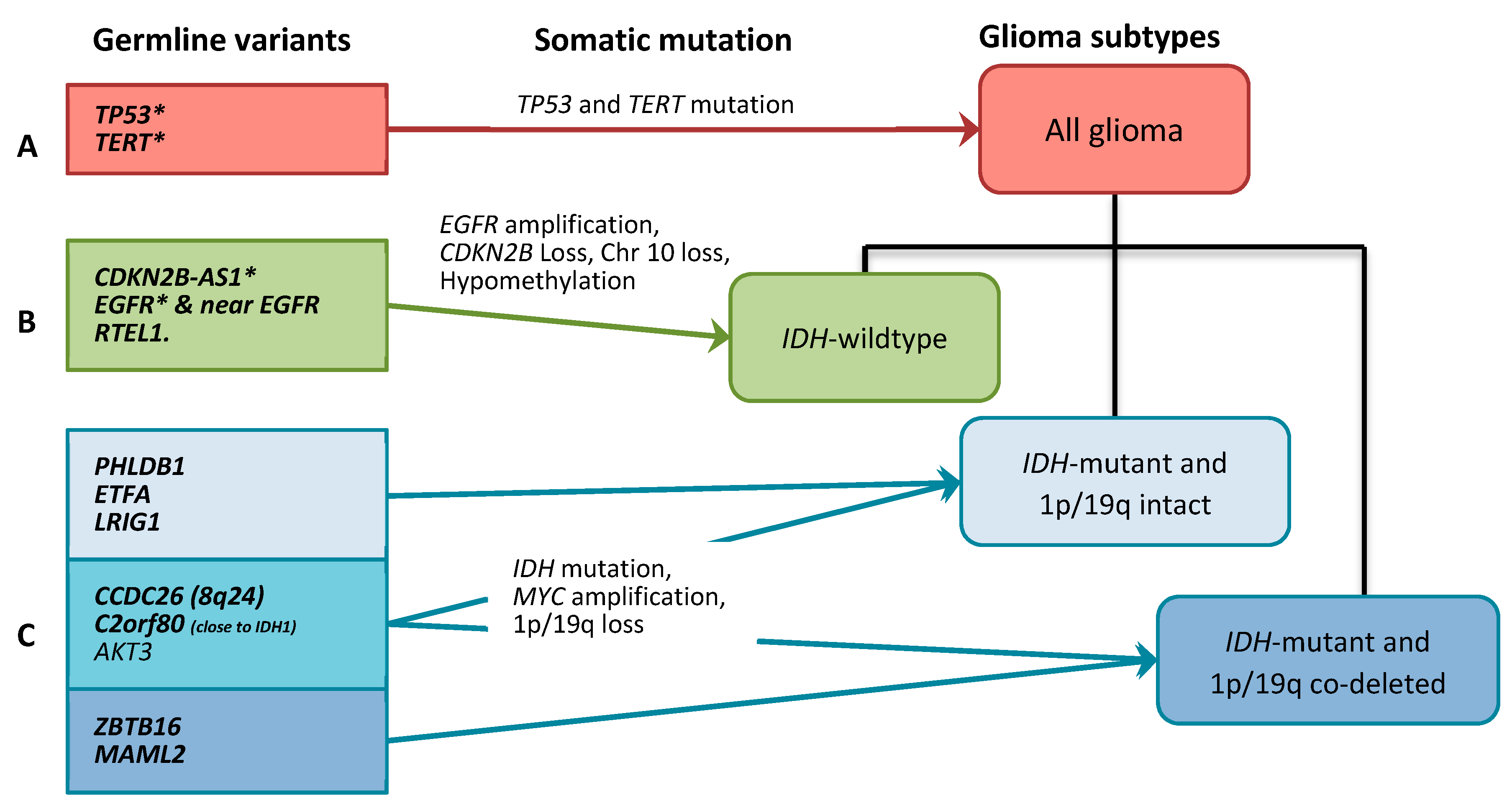 Cancers 11 02001 g002 Cancers 11 02001 g002
