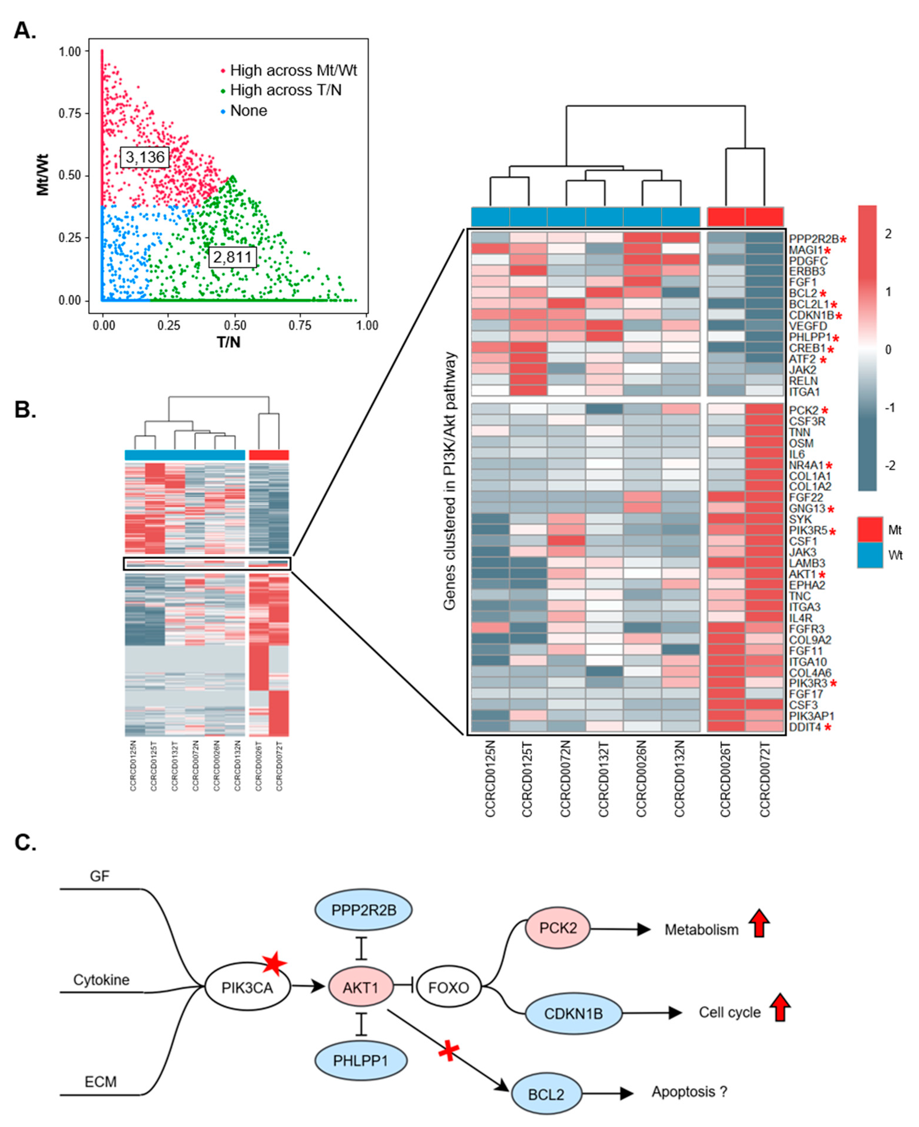 Cancers 11 02006 g003 Cancers 11 02006 g003