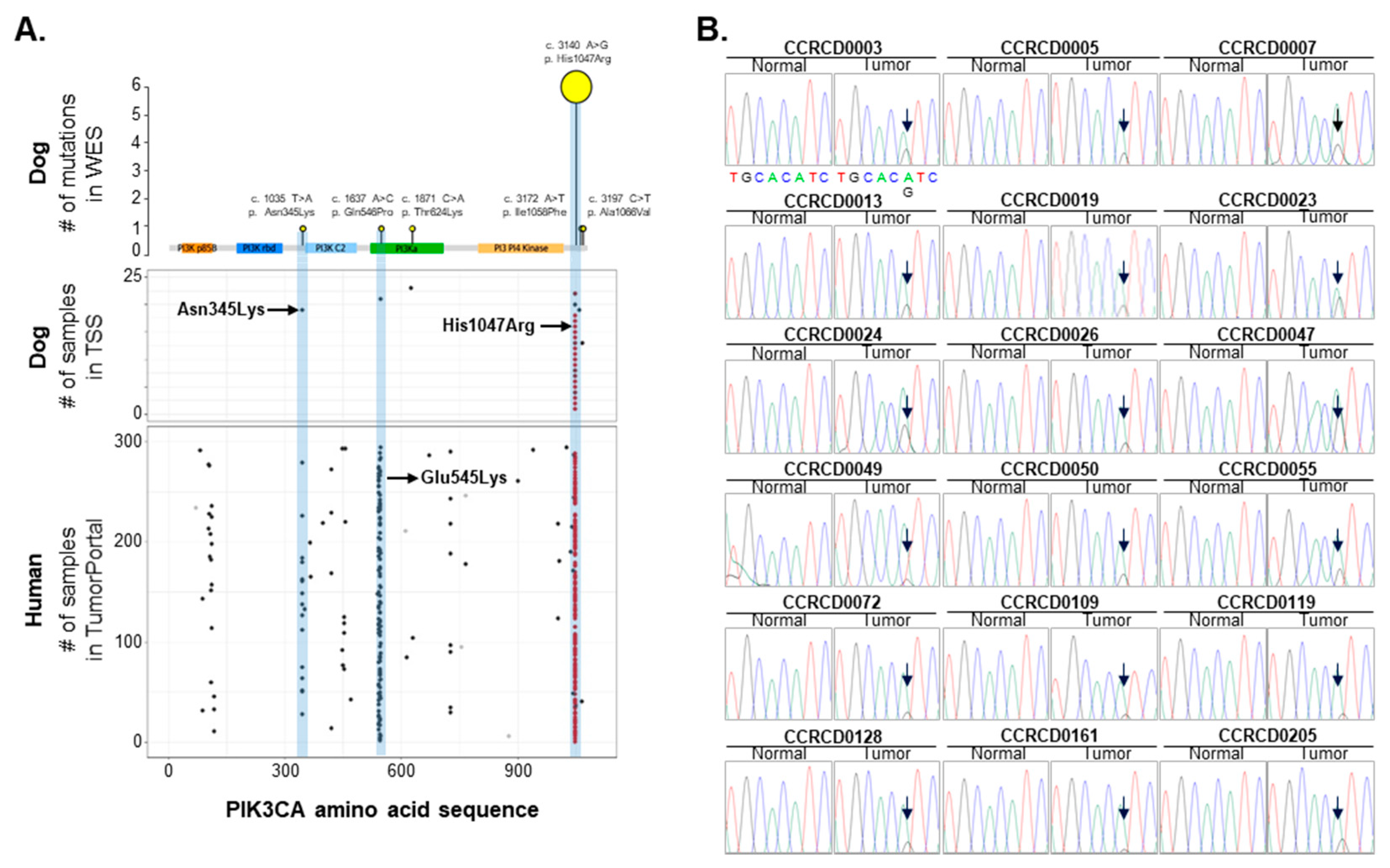 Cancers 11 02006 g004 Cancers 11 02006 g004