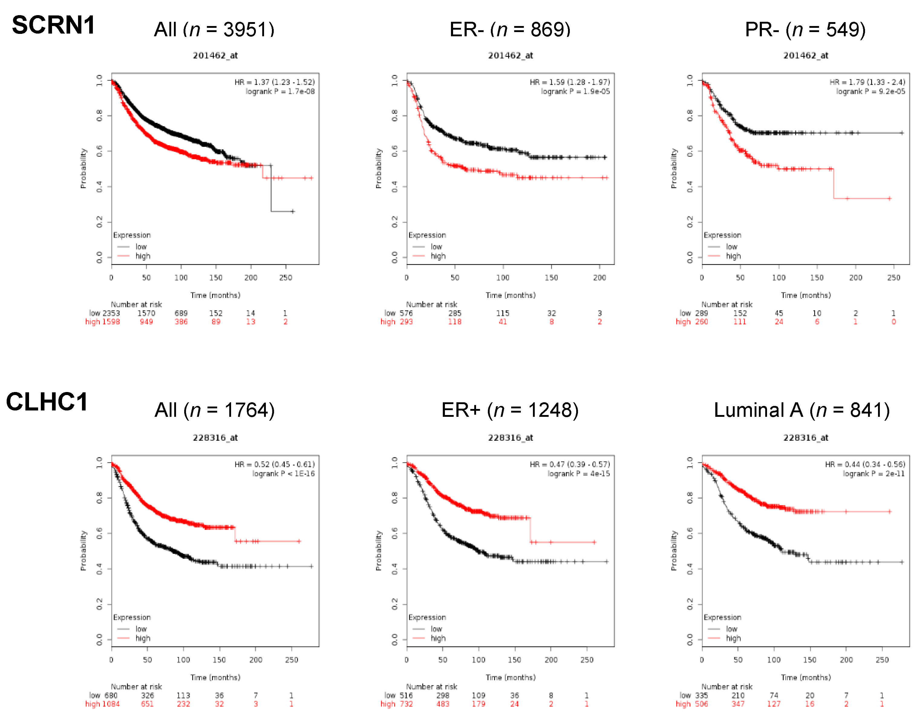 Cancers 11 02006 g005 Cancers 11 02006 g005