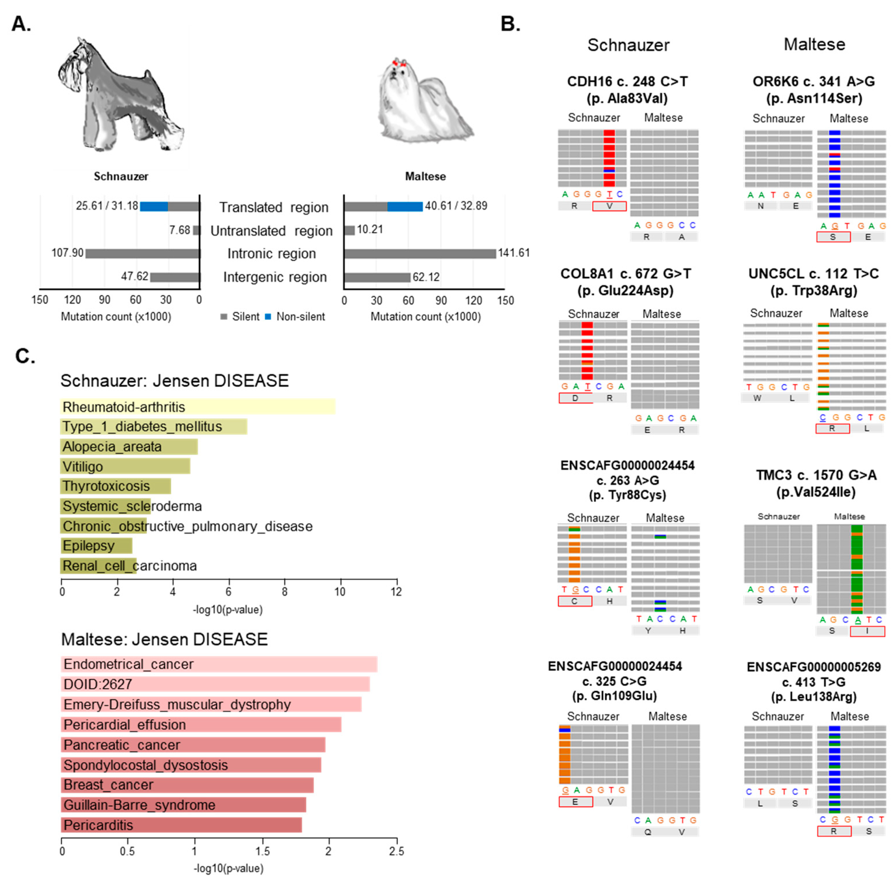Cancers 11 02006 g006 Cancers 11 02006 g006