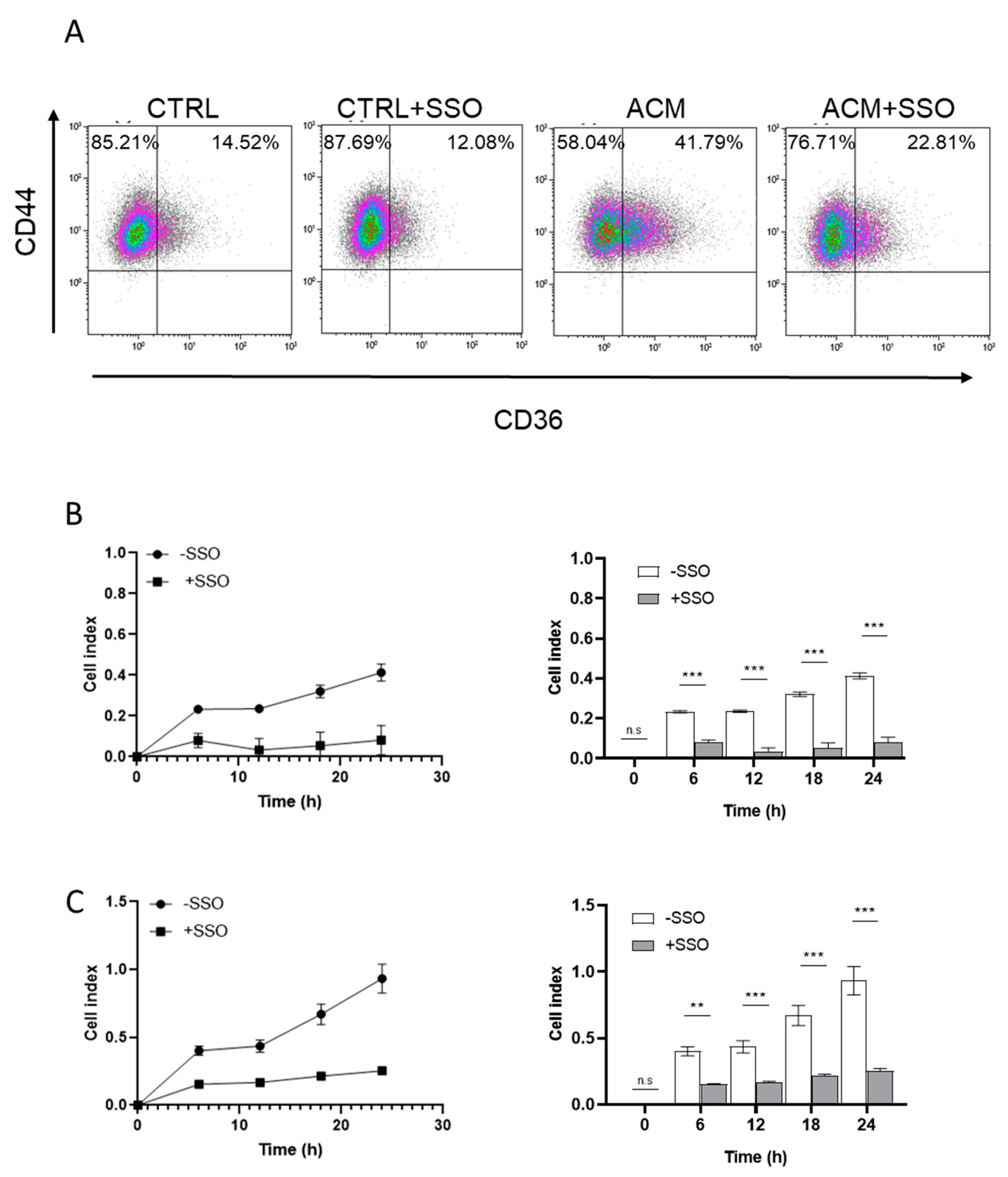 Cancers 11 02012 g007 Cancers 11 02012 g007